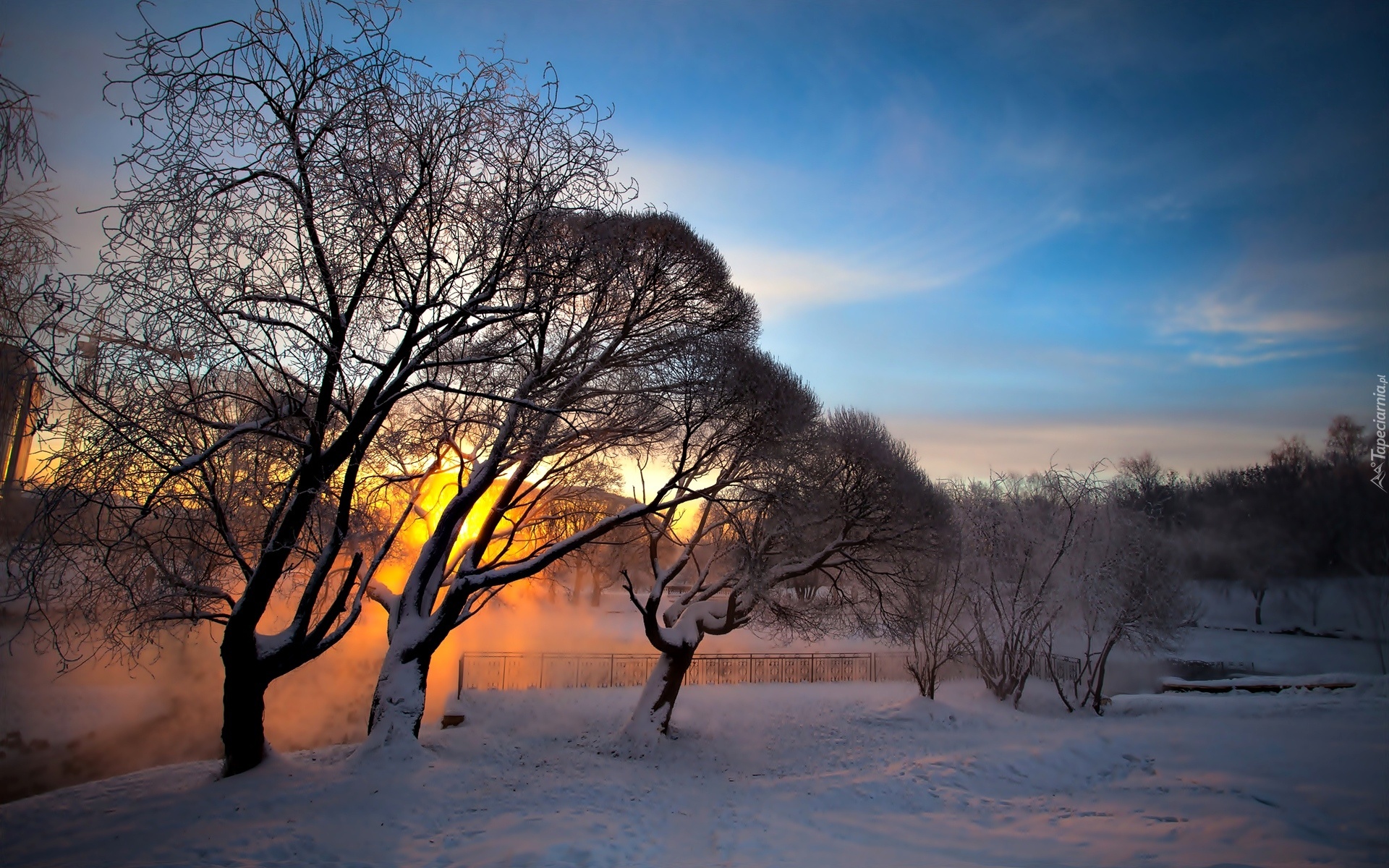 Zima, Śnieg, Drzewa, Wschód słońca