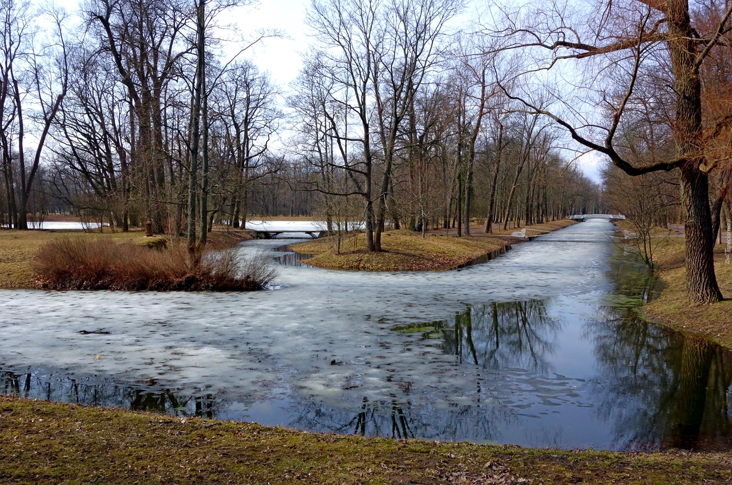 Park, Rzeczka, Mostki