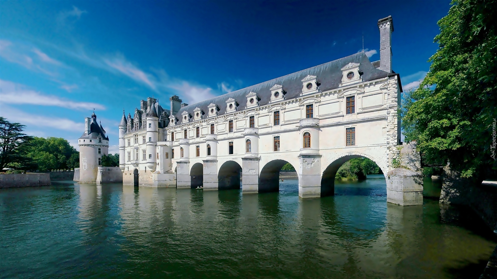 Lato, Zamek, Chenonceau, Francja