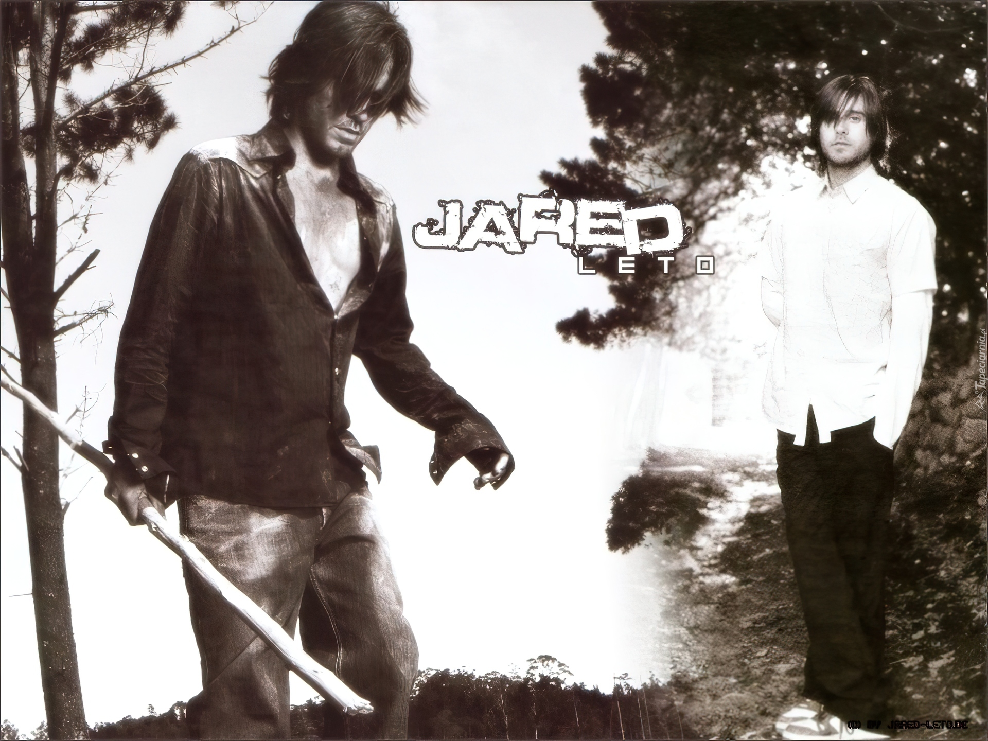 Jared Leto, biała koszula, drzewa