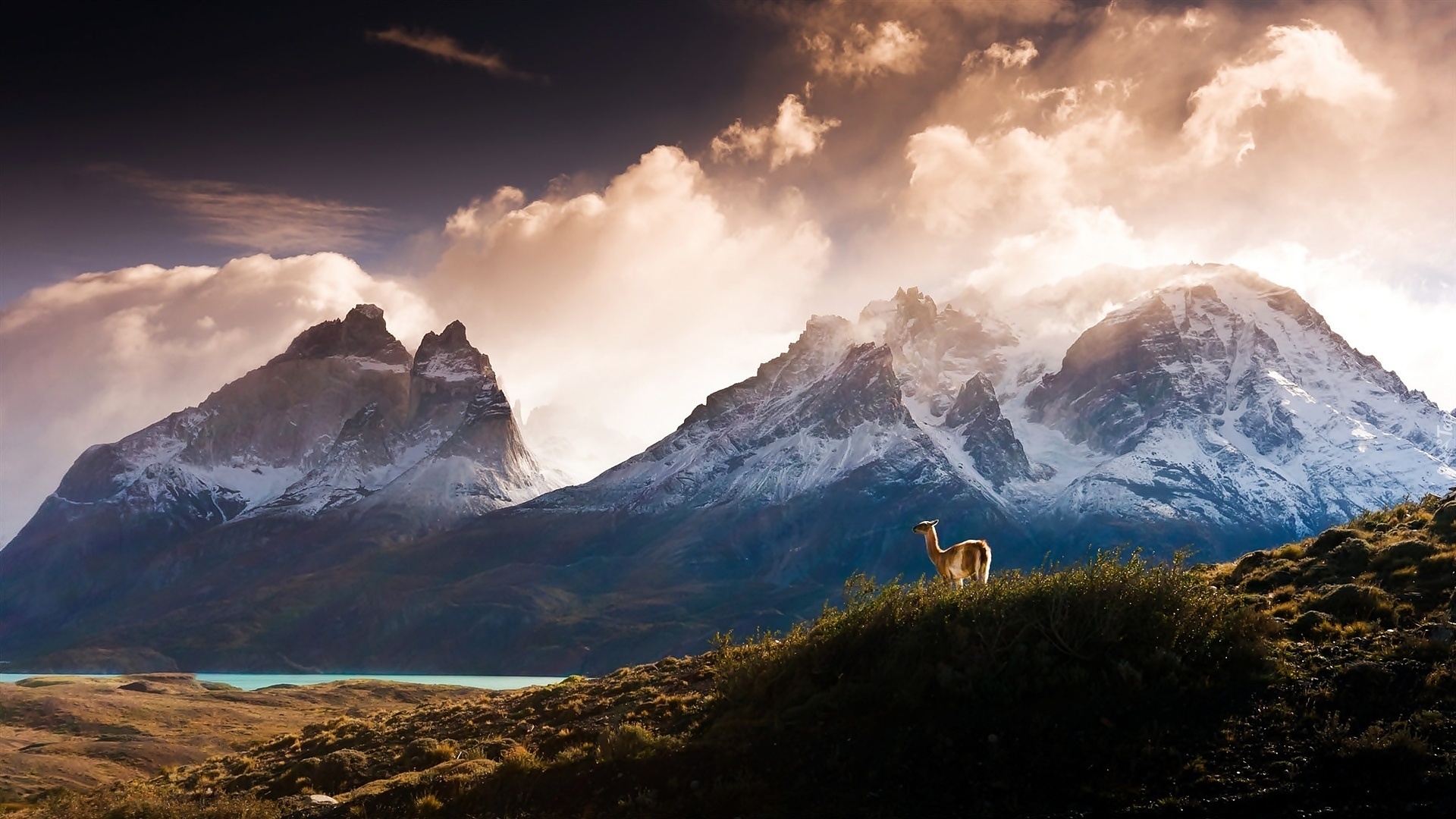 Góry, Chmury, Lama