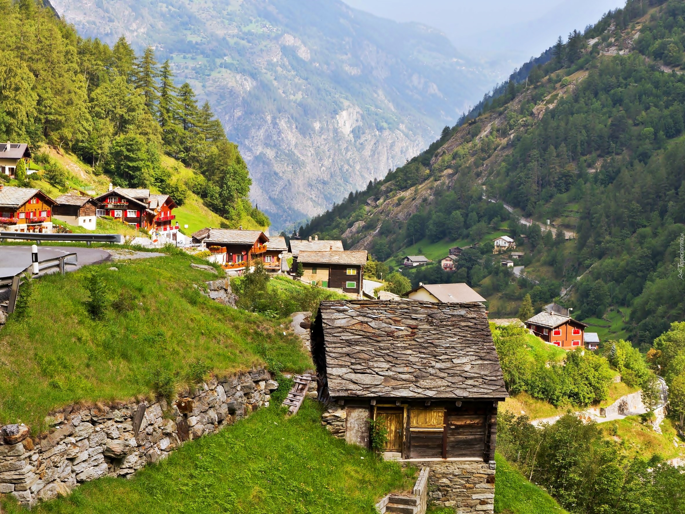 Góry, Alpy, Lasy, Dolina Saas, Wioska, W Kantonie, Valais