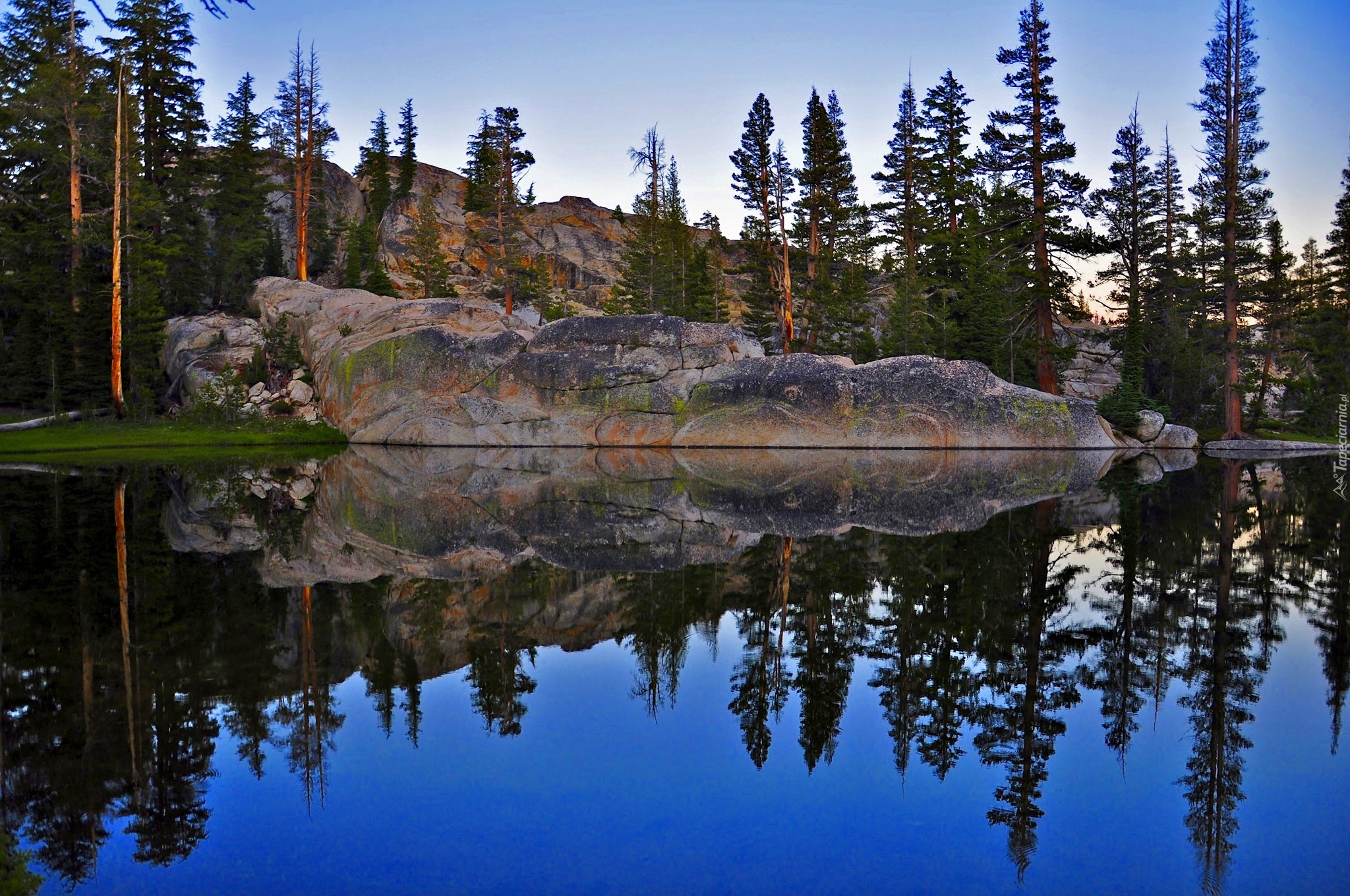 Stany Zjednoczone, Stan Kalifornia, Park Narodowy Yosemite, Góry, Lasy, Skała