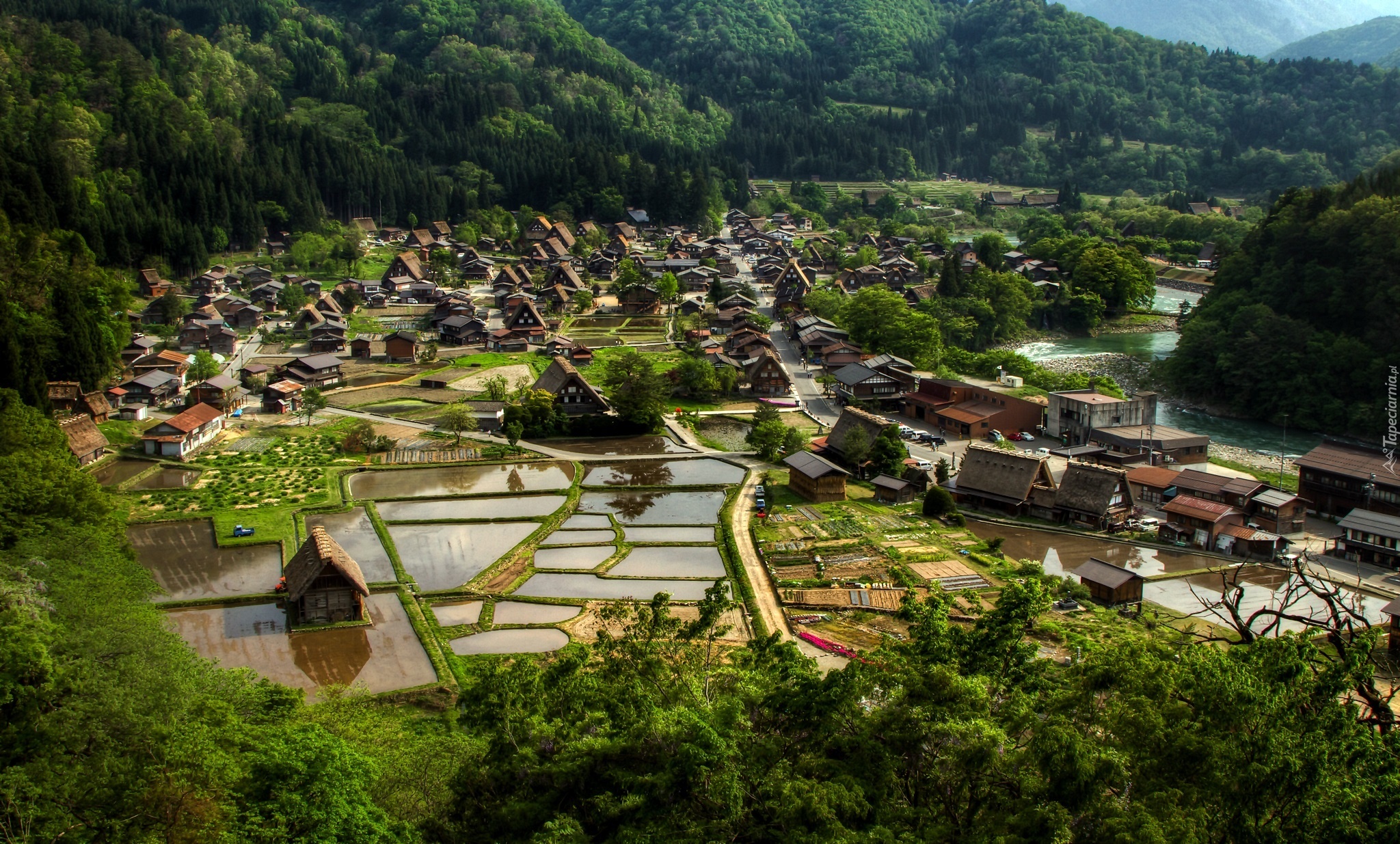 Wieś, Ogimachi, Japonia