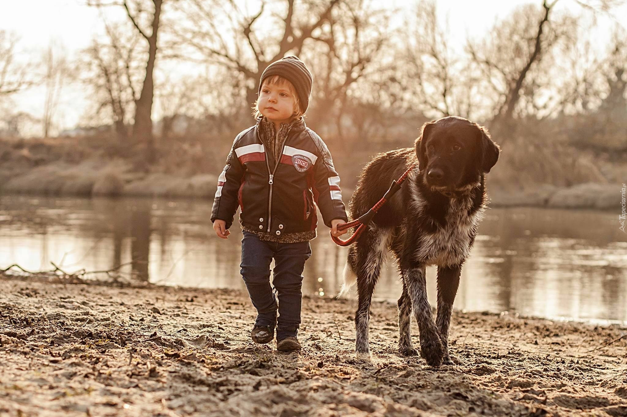 Мальчишки гуляют. Прогулка с собакой. Мальчик с собакой. Мальчик гуляет. Прогулка с ребенком и собакой.