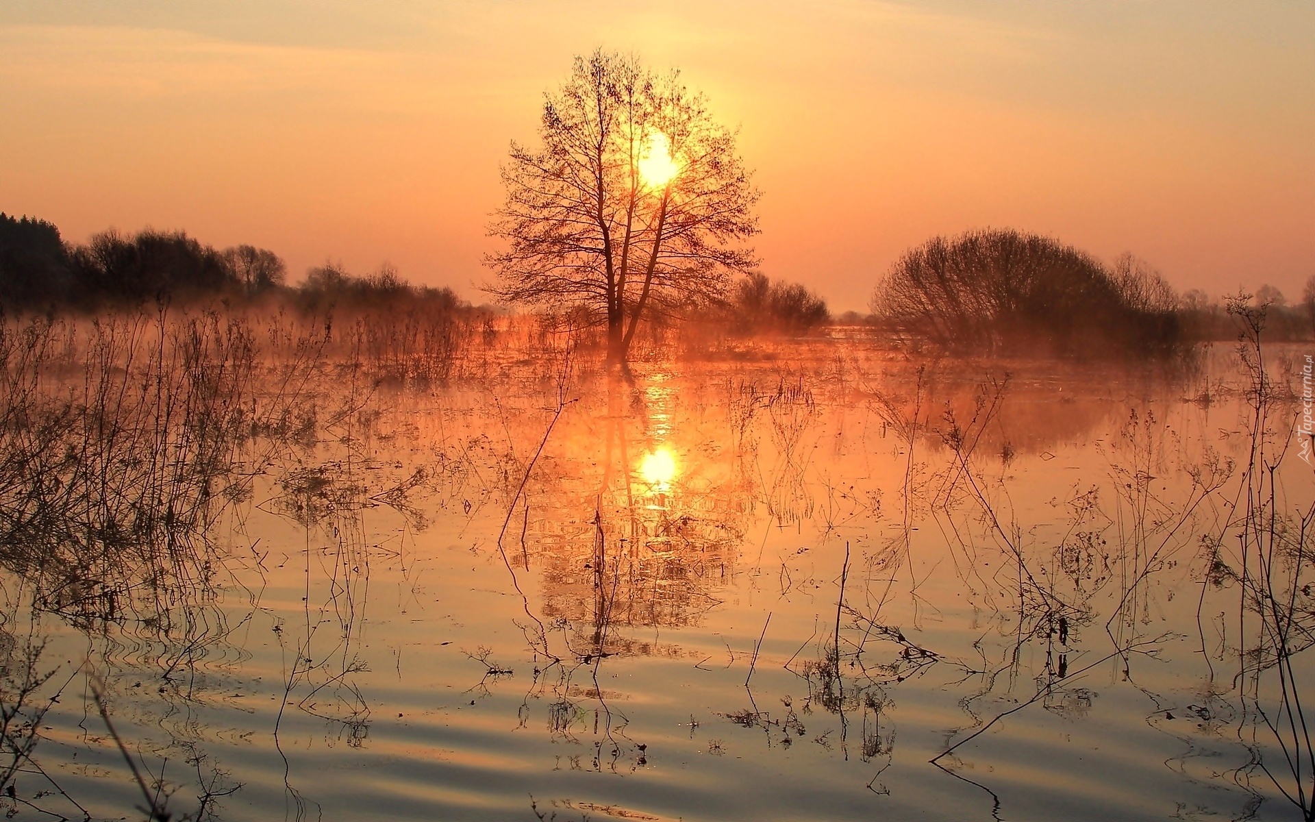 Jezioro, Mgła, Wschód słońca