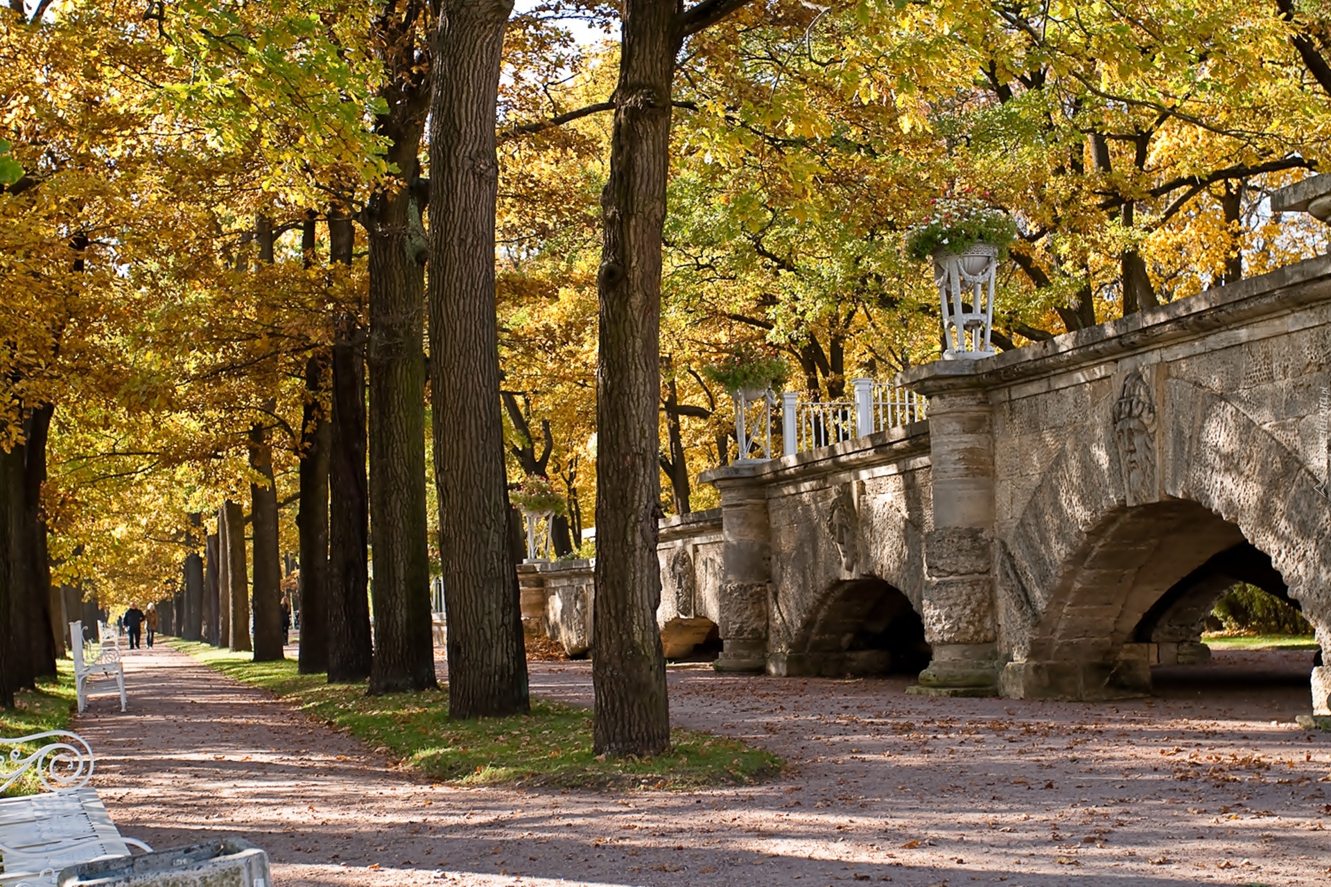 Jesień, Park, Most