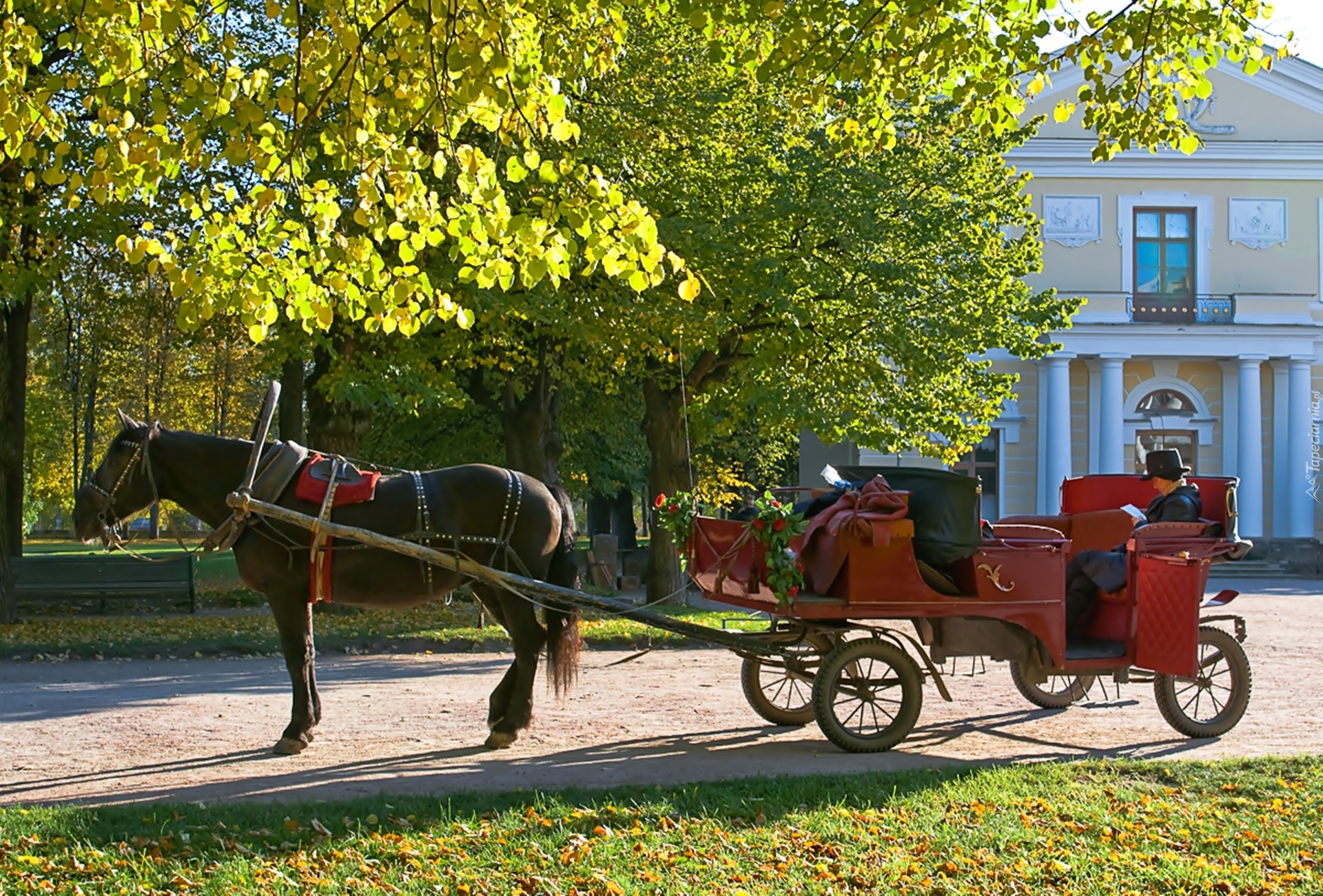 Koń, Bryczka, Kobieta, Dworek