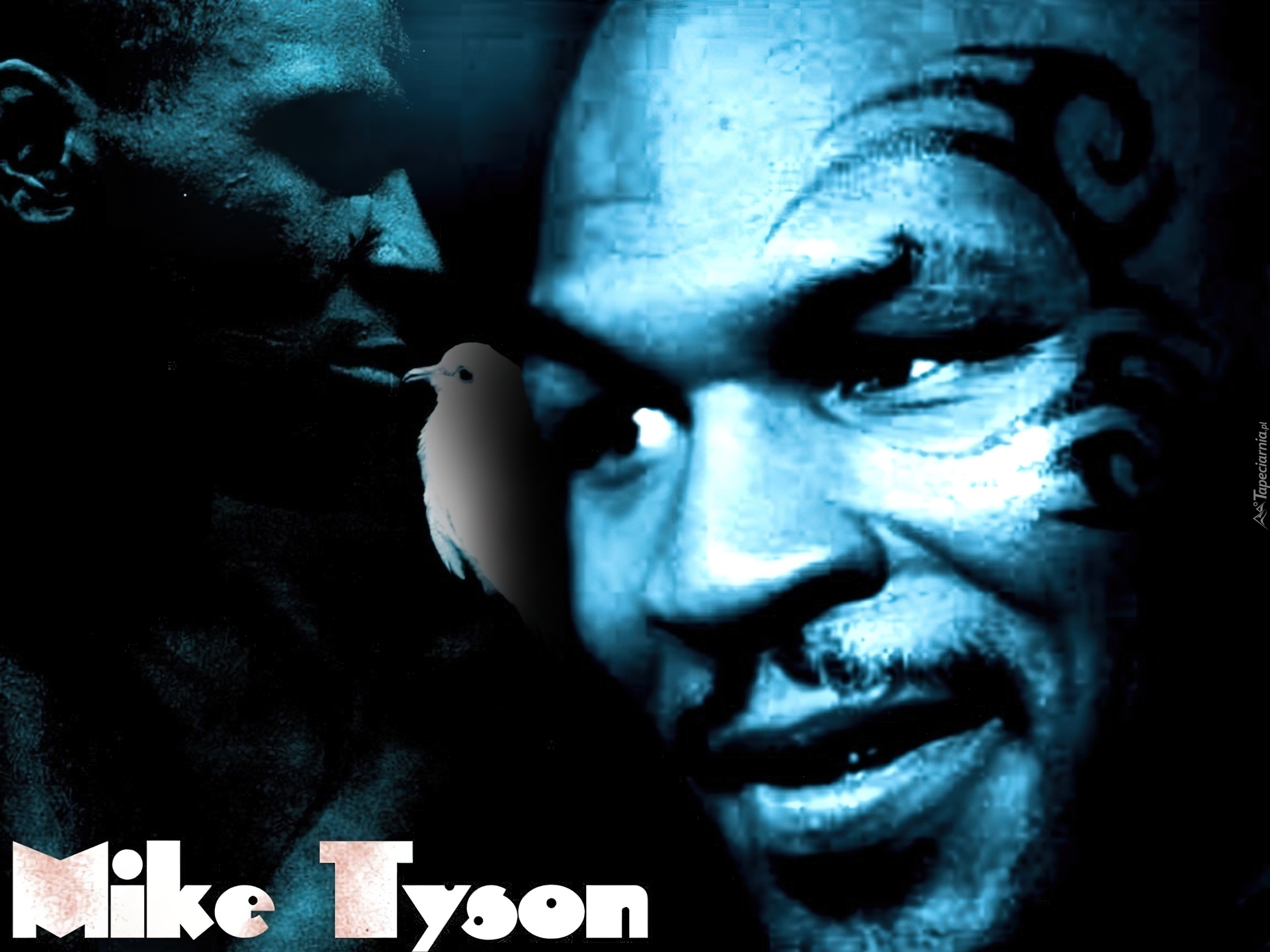 Boks,Mike Tyson