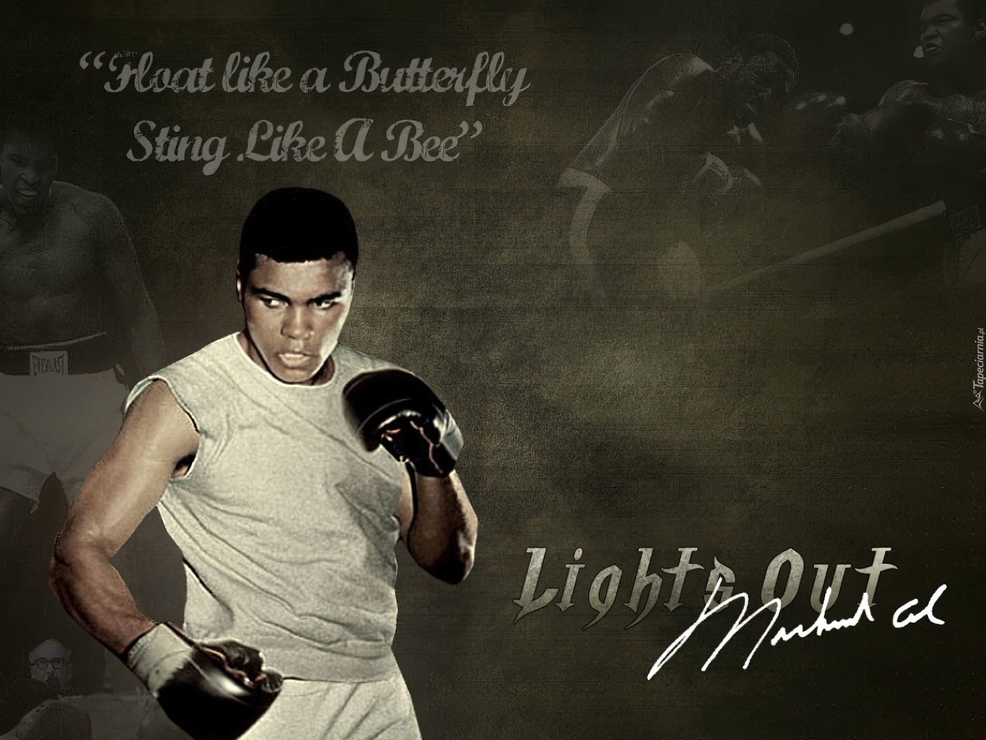 Muhammad Ali, Boks