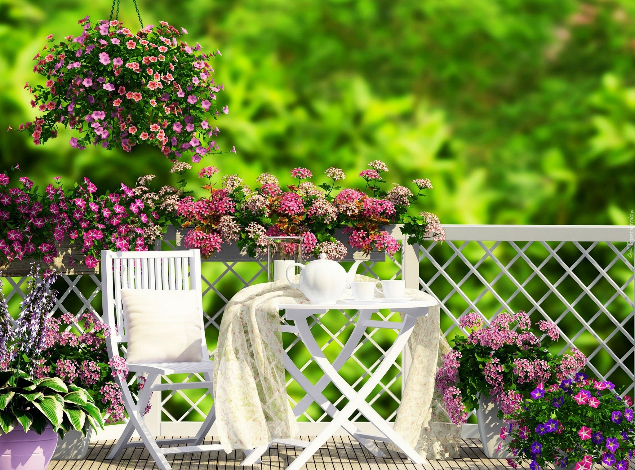 Ogród, Taras, Kwiaty, Stolik, Krzesło