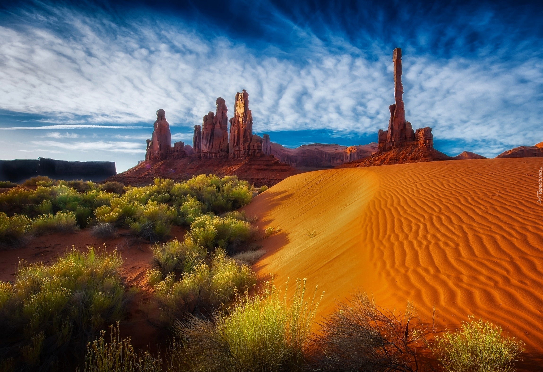 Pustynia, Skały, Krzewy, Niebo, Arizona, USA