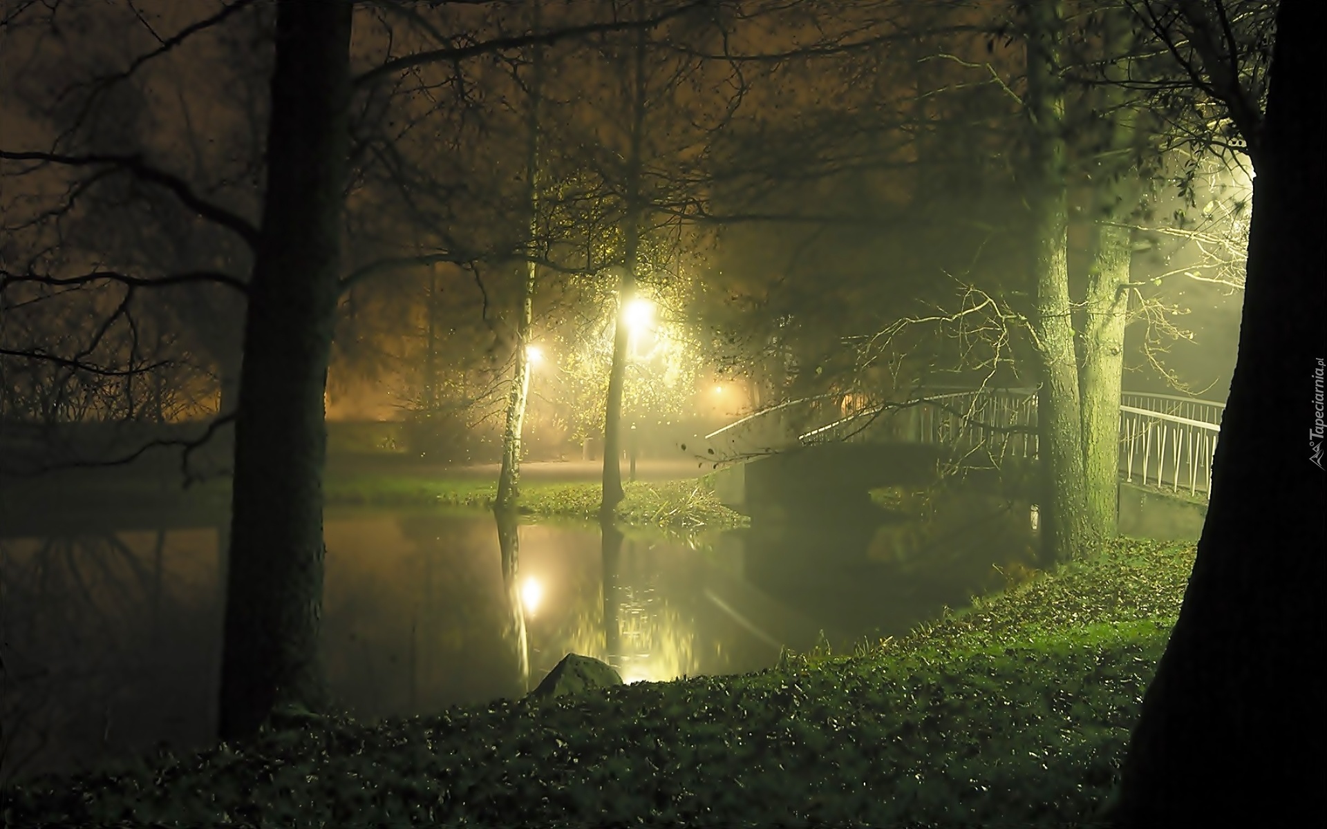 Park, Mgła, Most