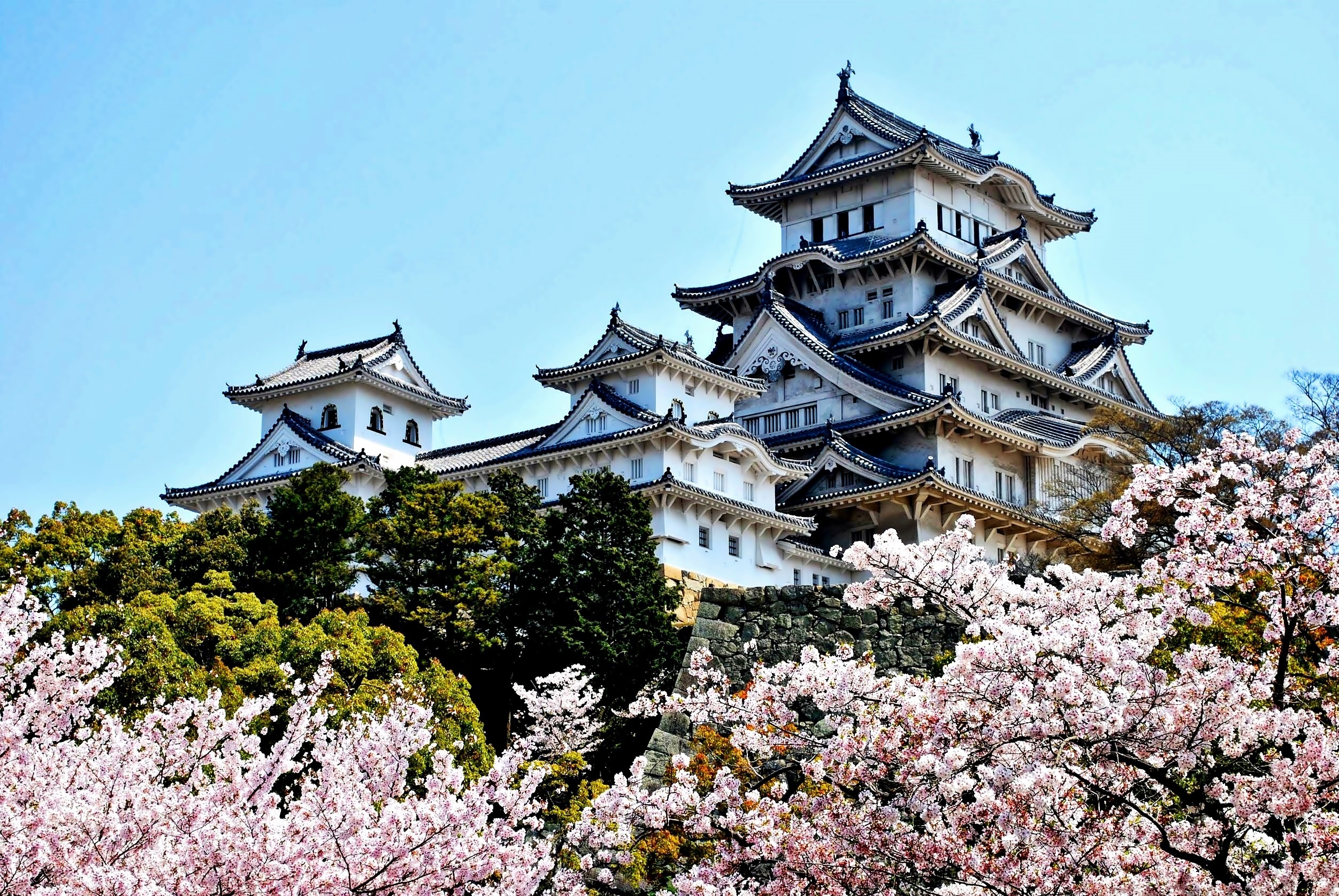 Zamek Himeji, Zamek Białej Czapli, Miejscowość Himeji, Japonia, Kwitnące, Drzewa