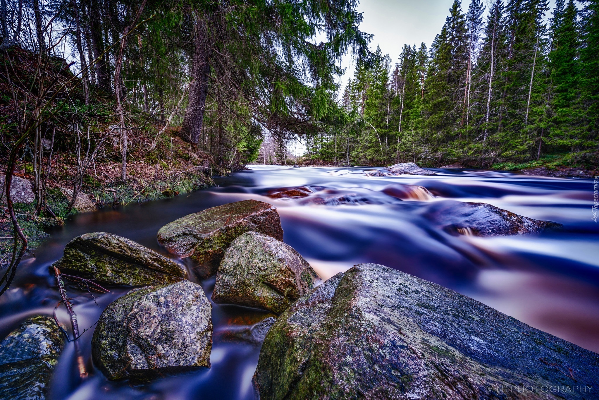 Las, Rwąca Rzeka, Kamienie