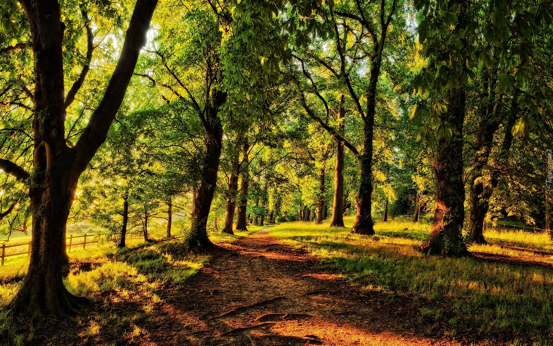 Droga, Przebijające Światło, Park