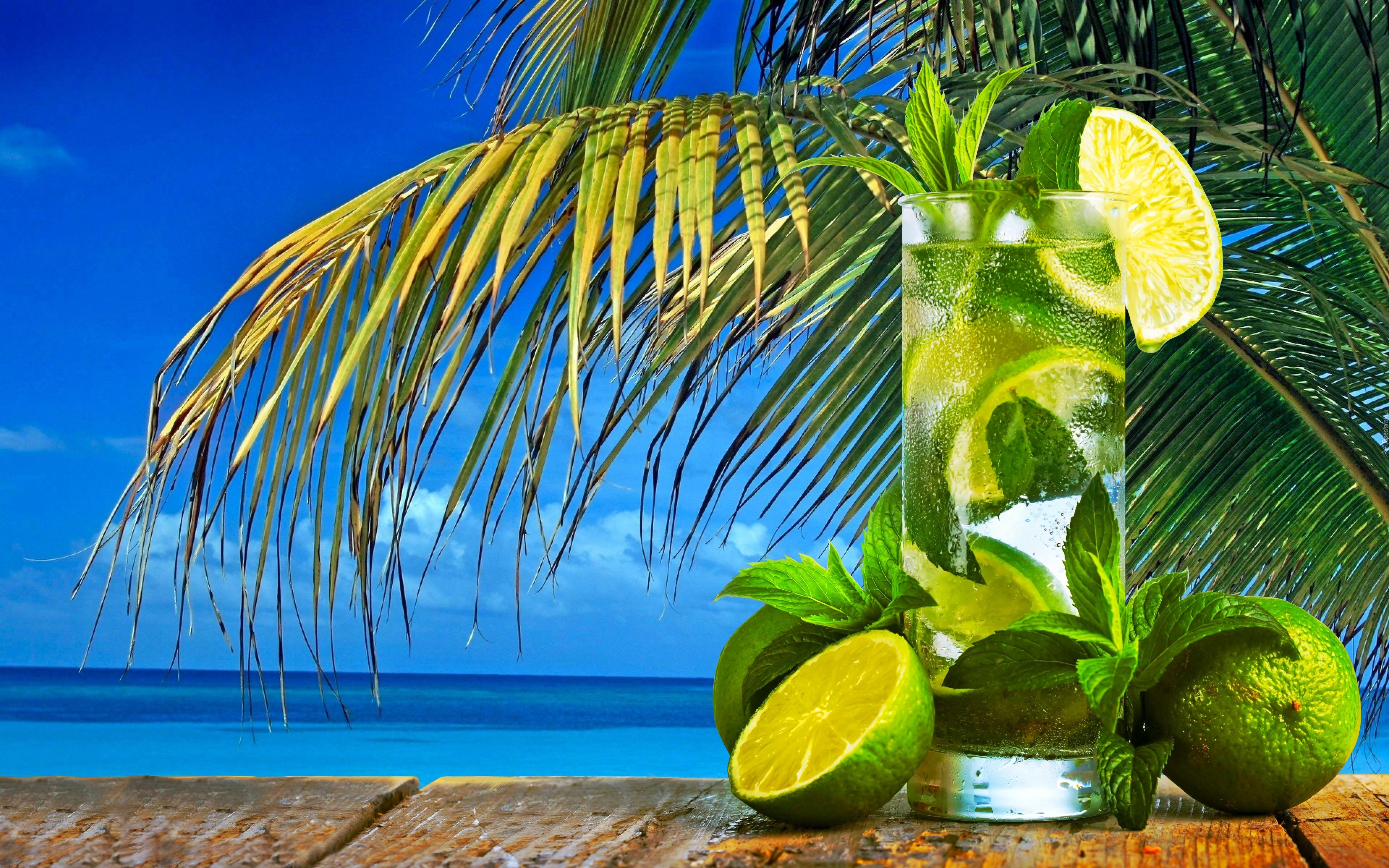 Drink Mojito, Palma, Ocean, Tropiki