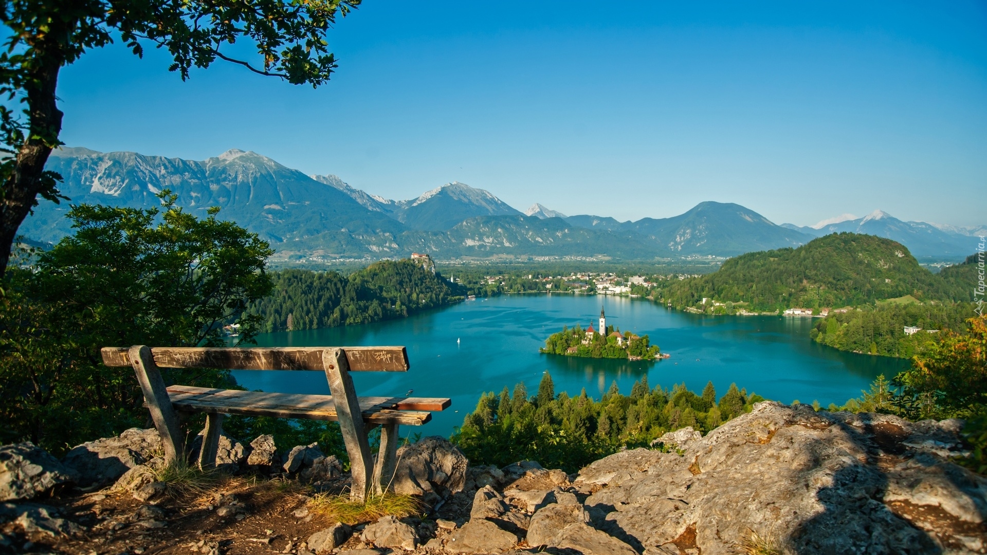 Jezioro, Góry, Drzewo, Ławka, Bled, Słowenia