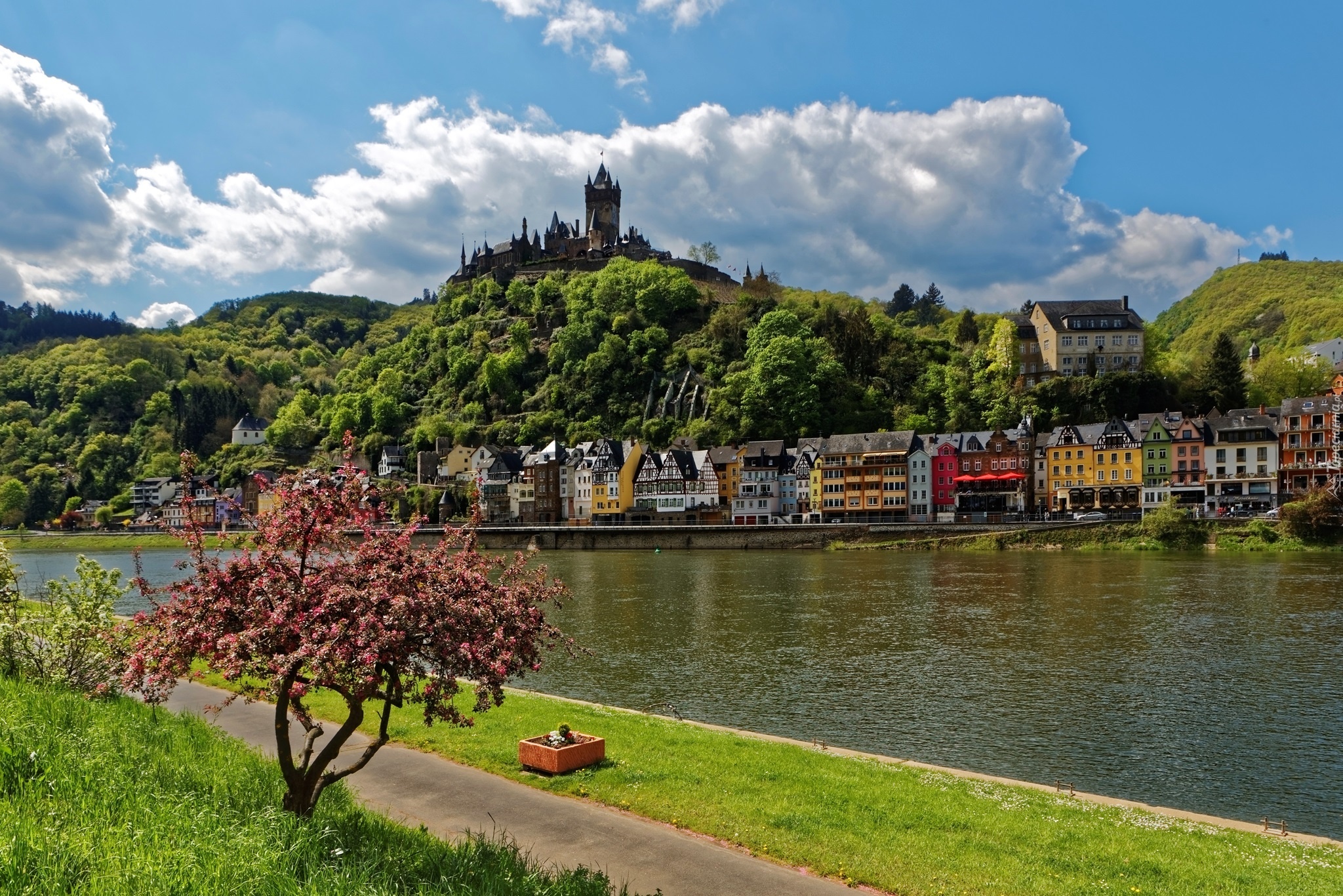 Zamek Reichsburg, Miasto Cochem, Niemcy, Rzeka Mozela, Domy,  Wiosna
