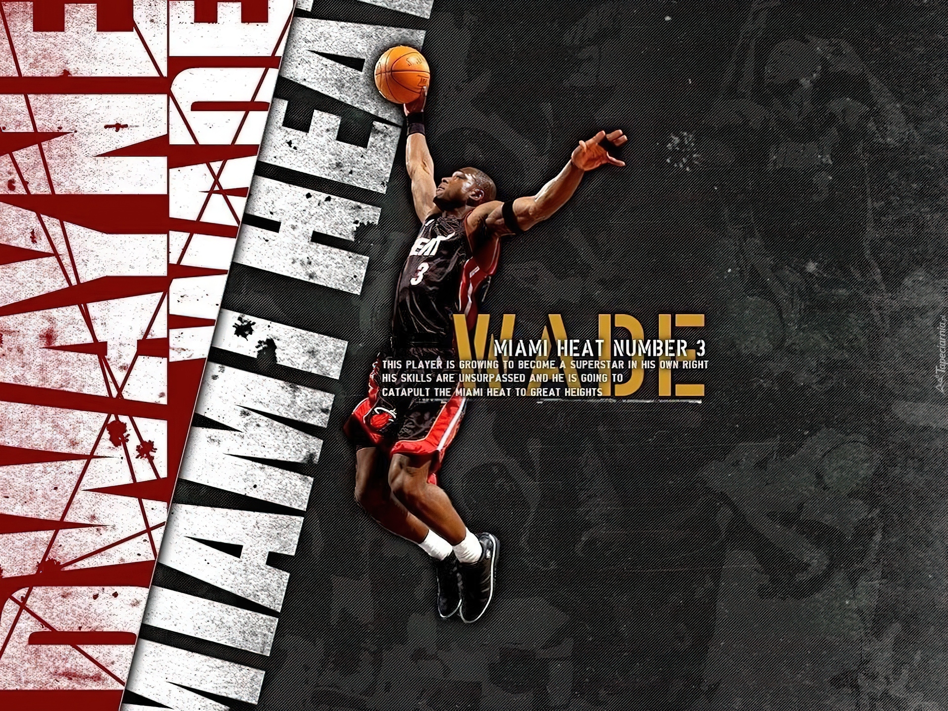 Koszykówka,koszykarz ,Wade