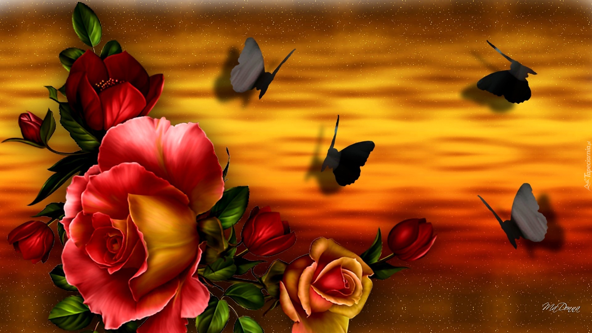 Róże, Motyle, Zachód Słońca, Art