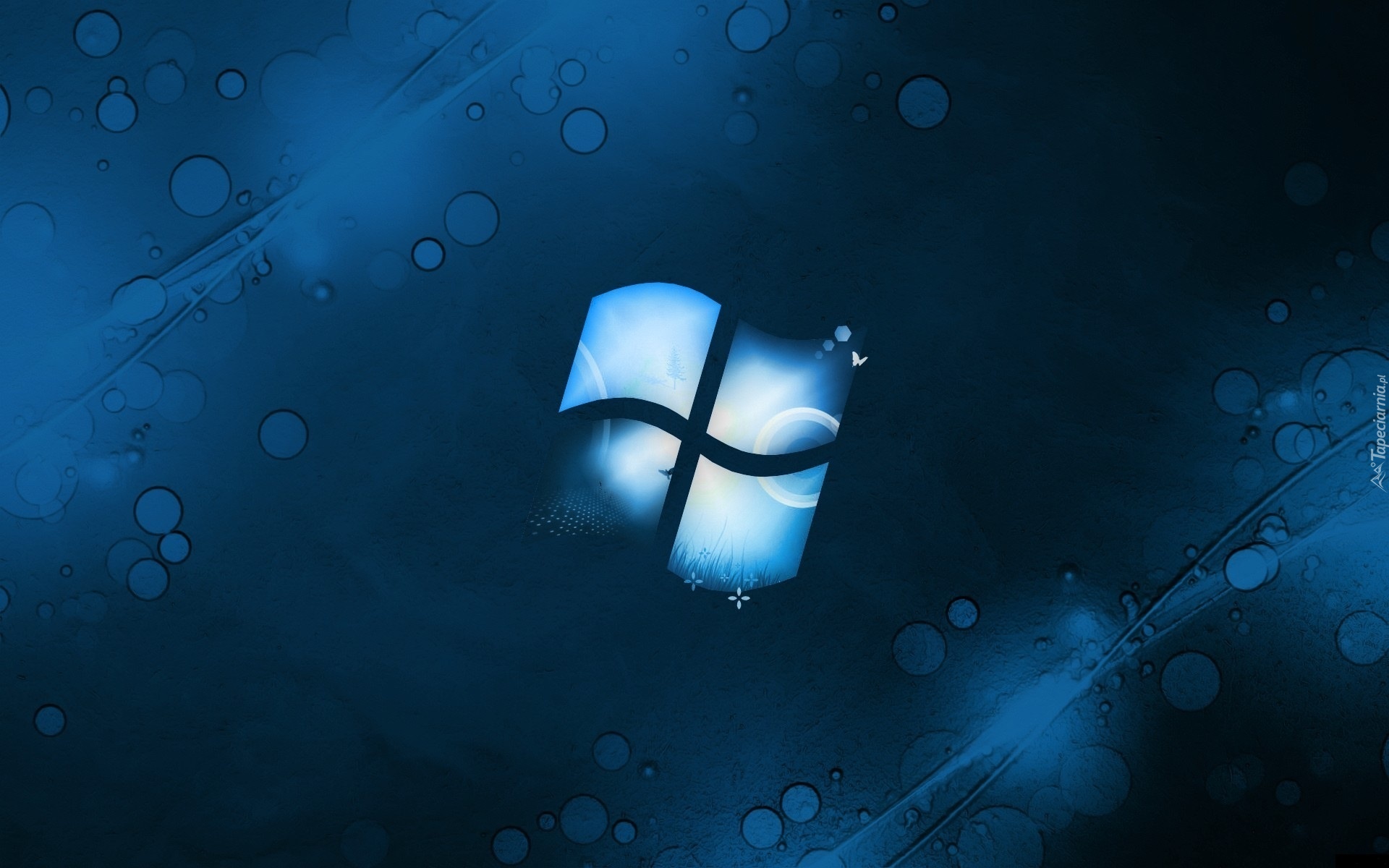 Windows, Logo