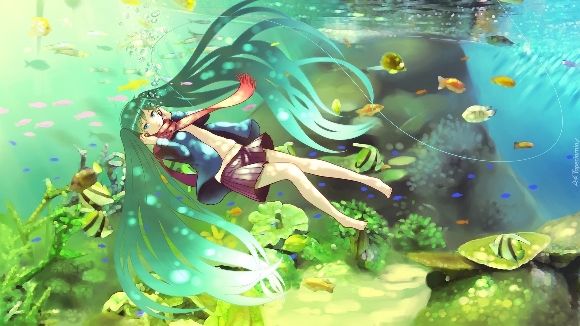 Vocaloid, Hatsune Miku