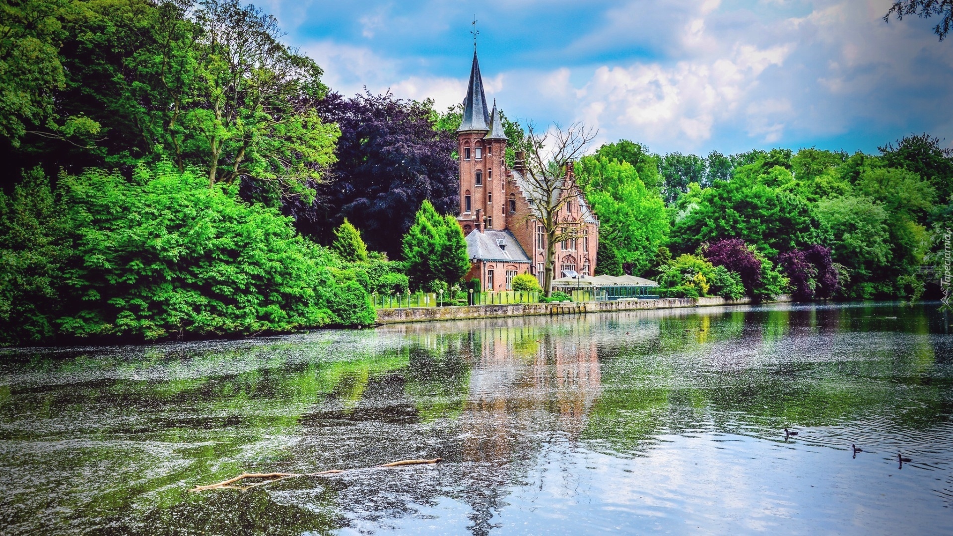 Hotel, Pensjonat, Chateau de Spycker, Jezioro, Brugia, Belgia