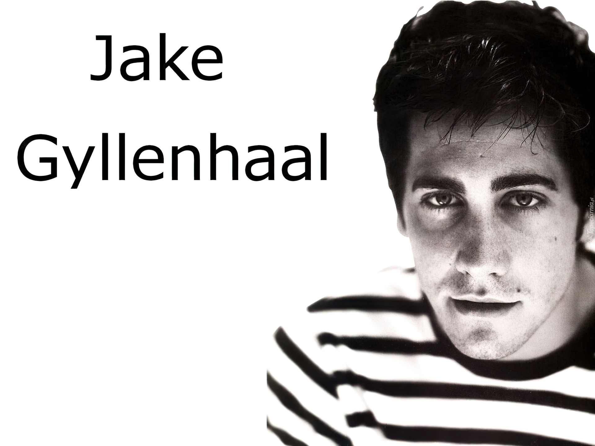 Jake Gyllenhaal,pasiasta bluzka