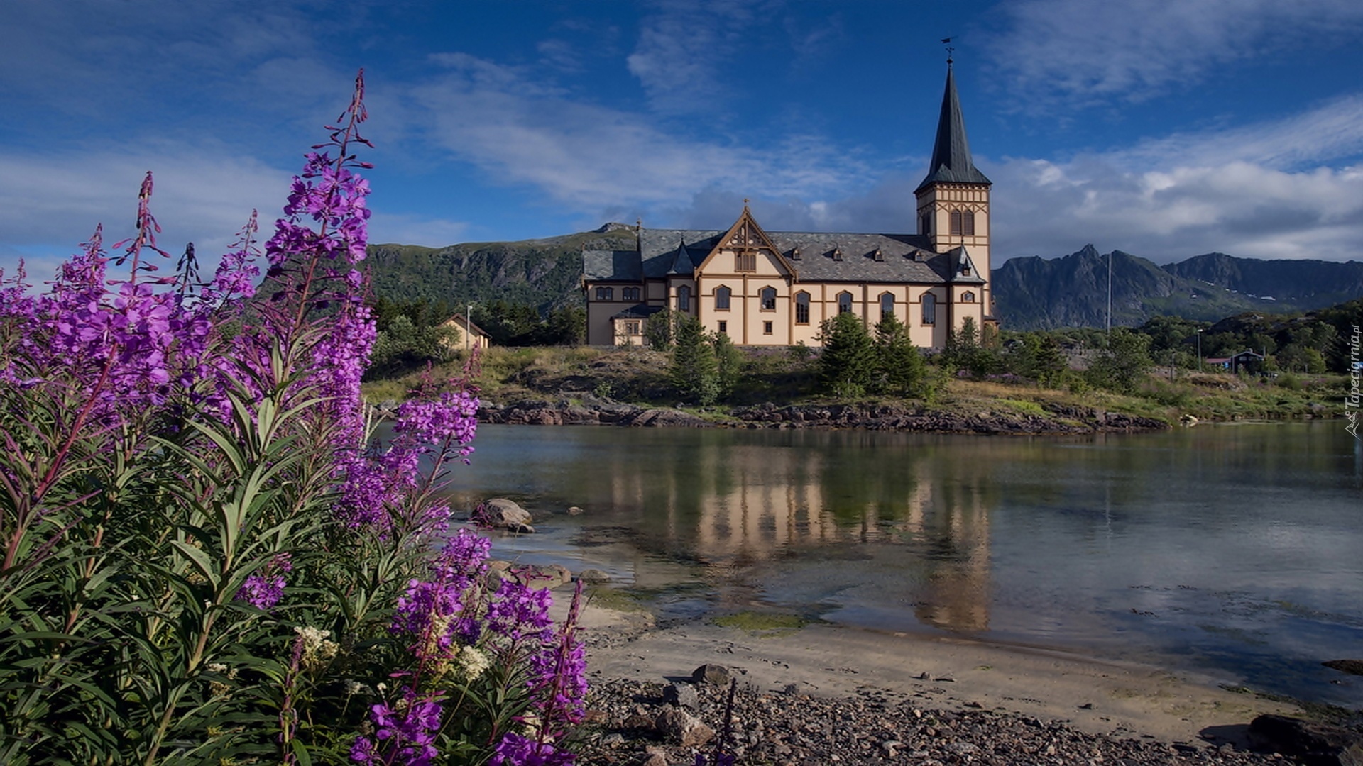 Norwegia, Rzeka, Budynek, Purpurowe, Kwiaty, Góry