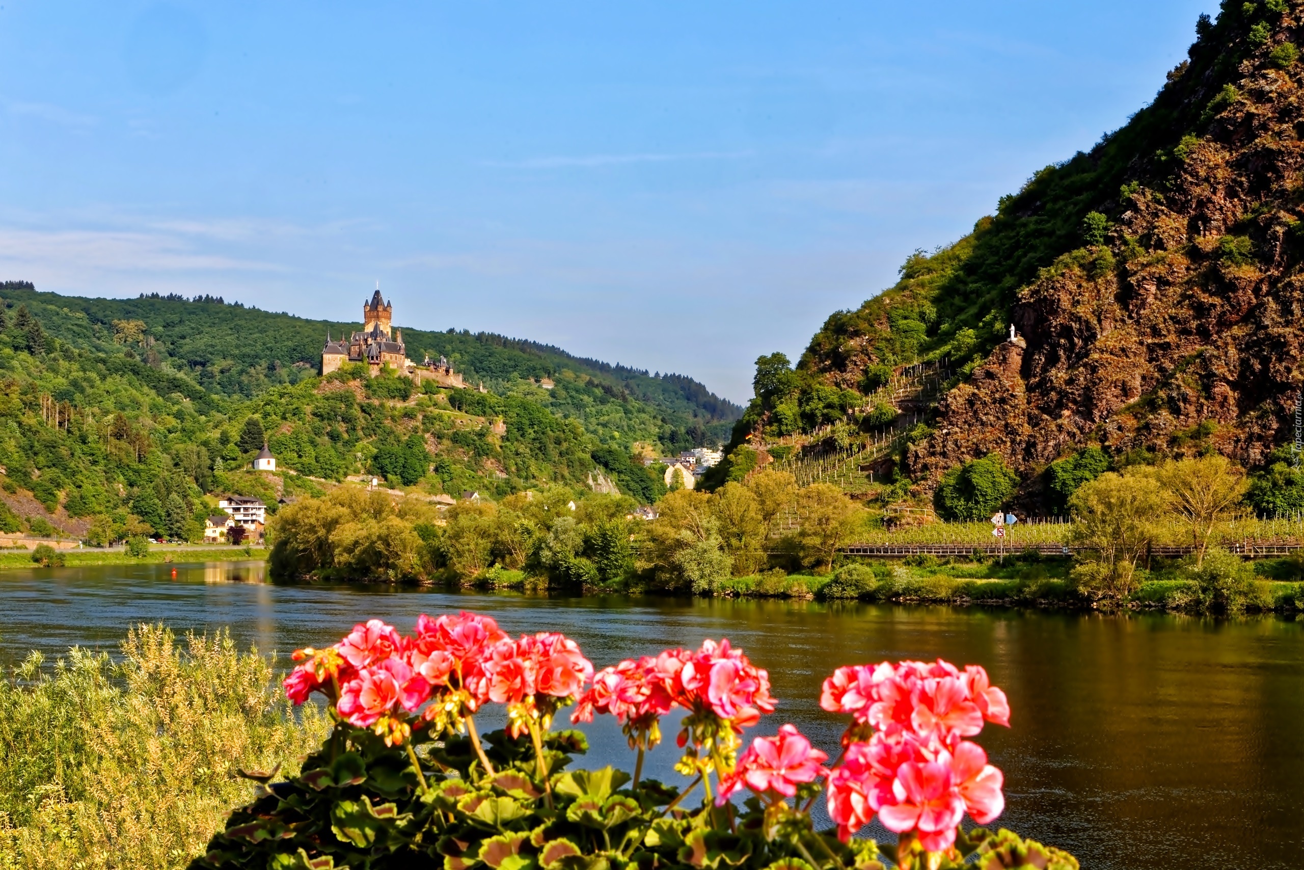 Zamek Reichsburg, Miasto Cochem, Niemcy, Rzeka Mozela, Góry, Lasy,  Pelargonie