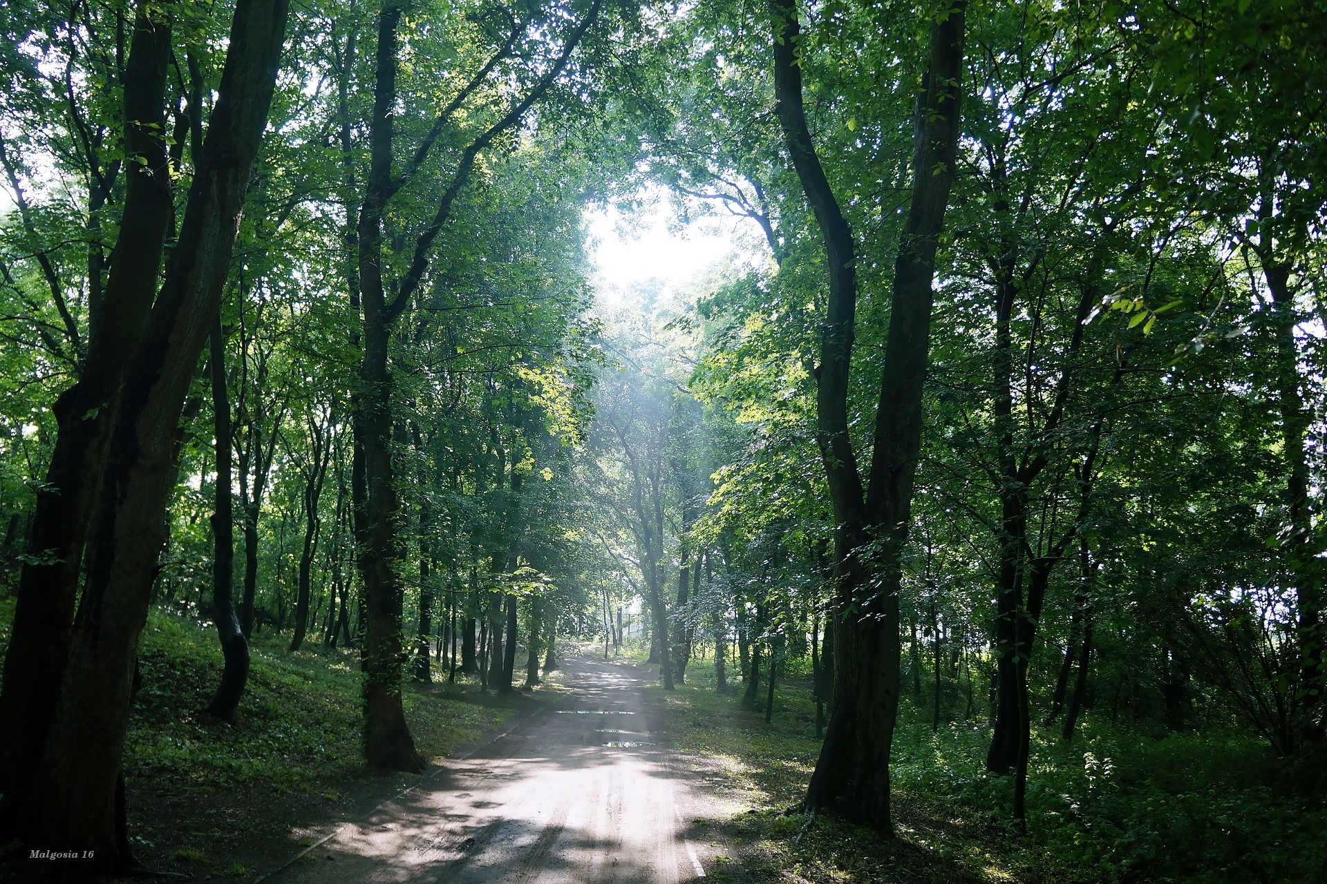 Uliczka, Park