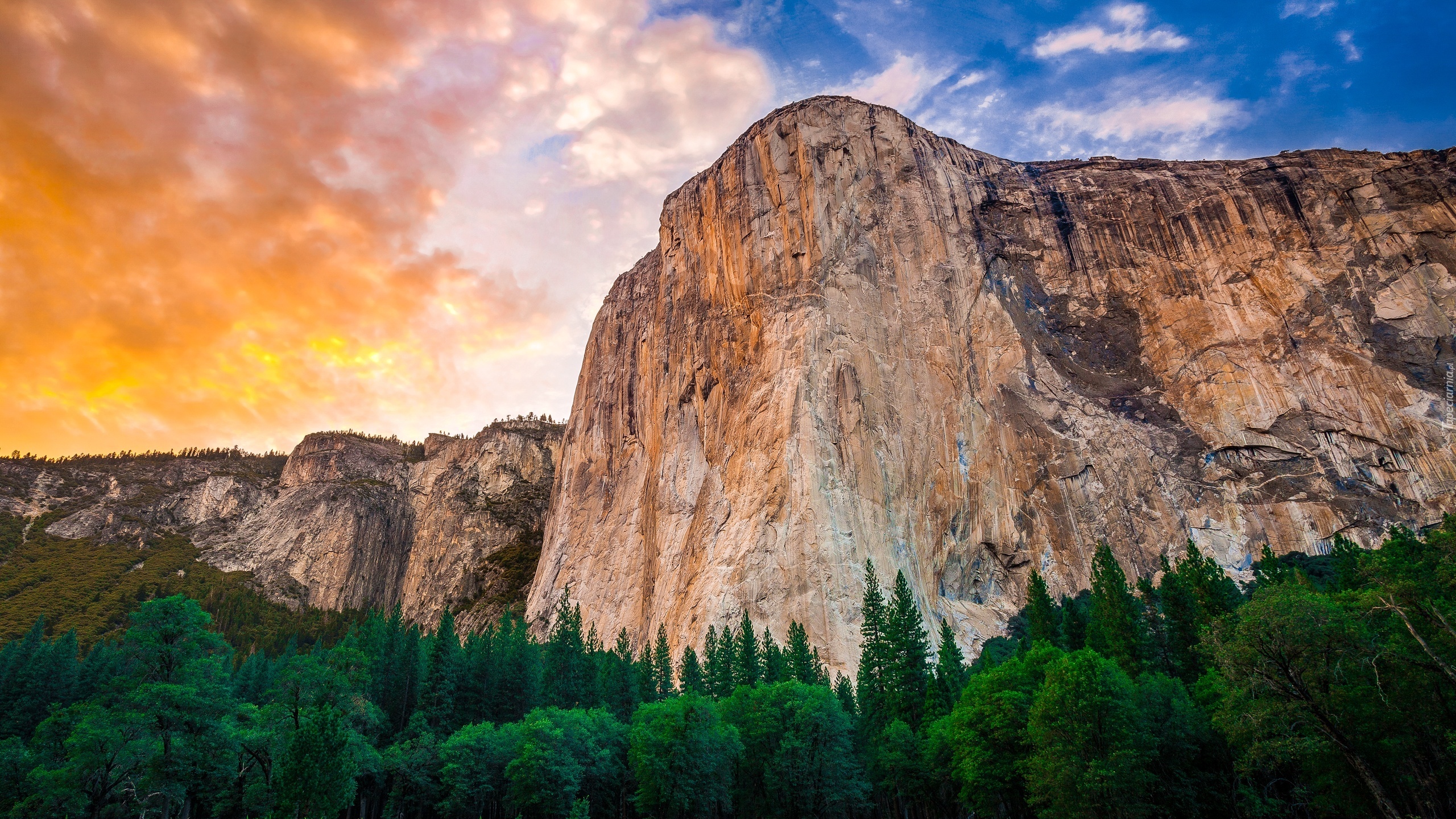 Stany Zjednoczone, Stan Kalifornia, Park Narodowy Yosemite, Góry, Lasy, Chmury