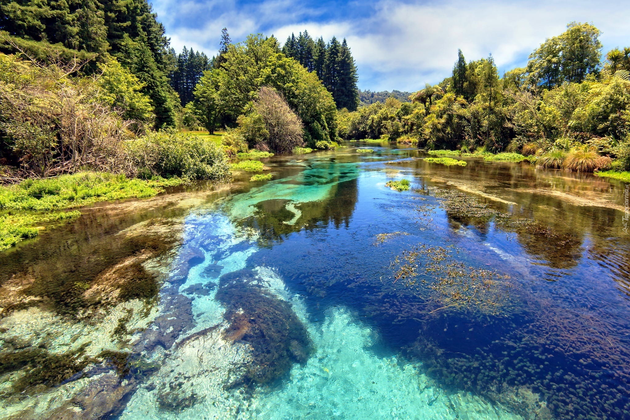 Вода озерца