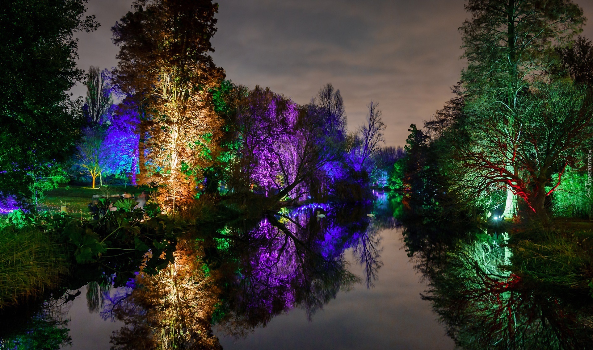 Park, Staw, Kolorowe, Światła, Zmierzch