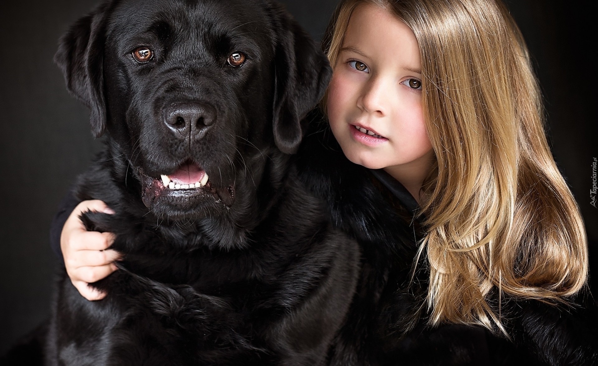 Mała, Dziewczynka, Pies, Labrador Retriever