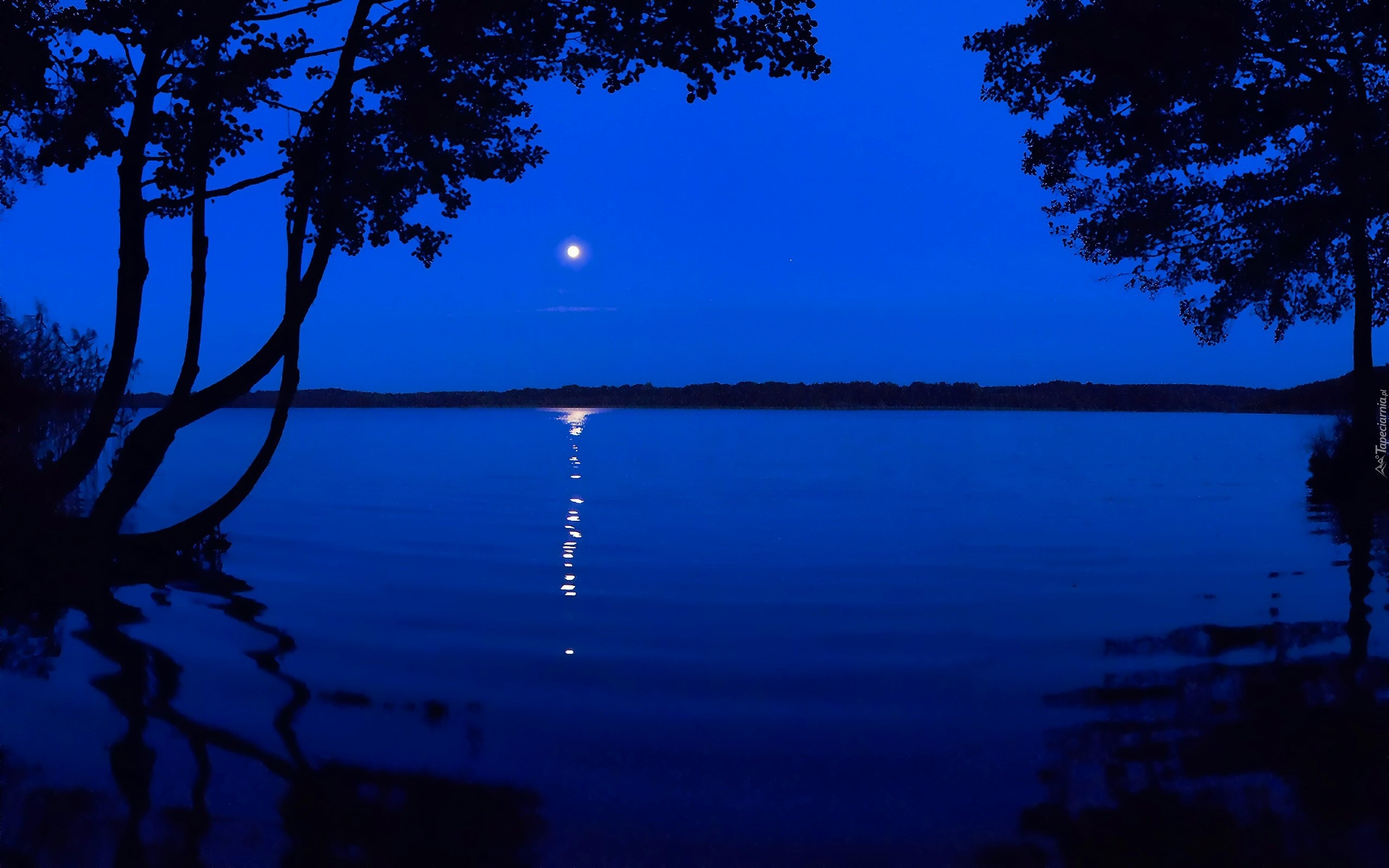 Jezioro, Noc, Księżyc, Odbicie, Drzewa