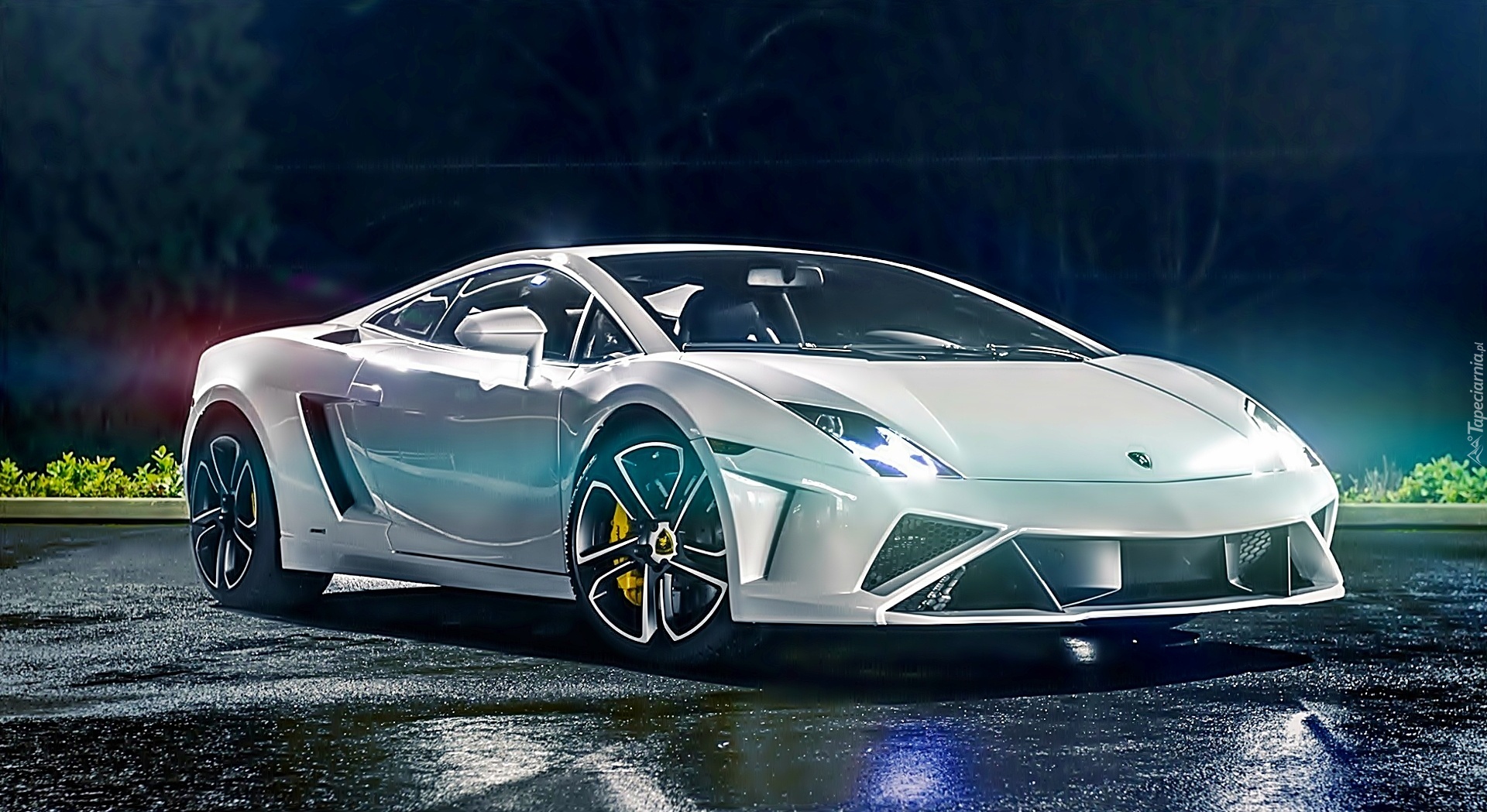 Białe, Lamborghini, Gallardo