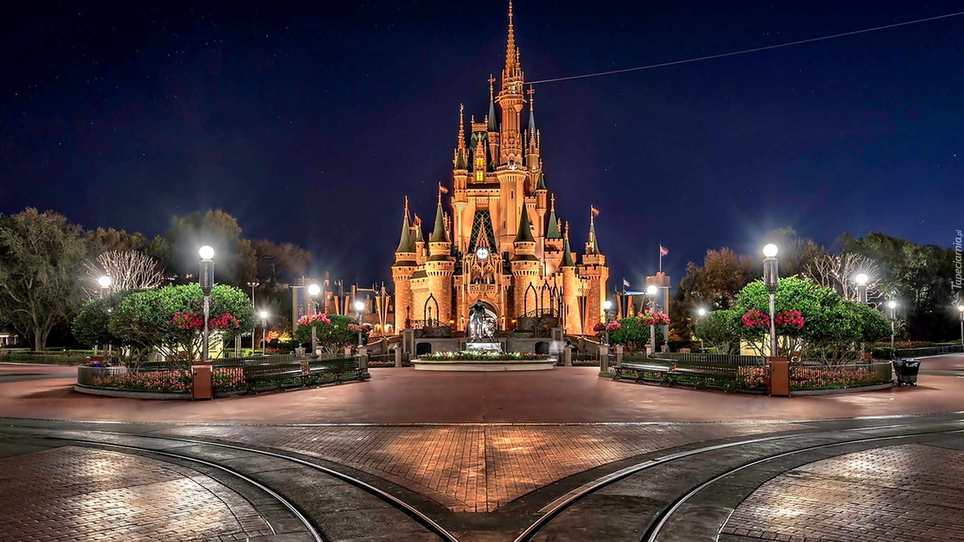 Disneyland, Zamek, Noc, Światła