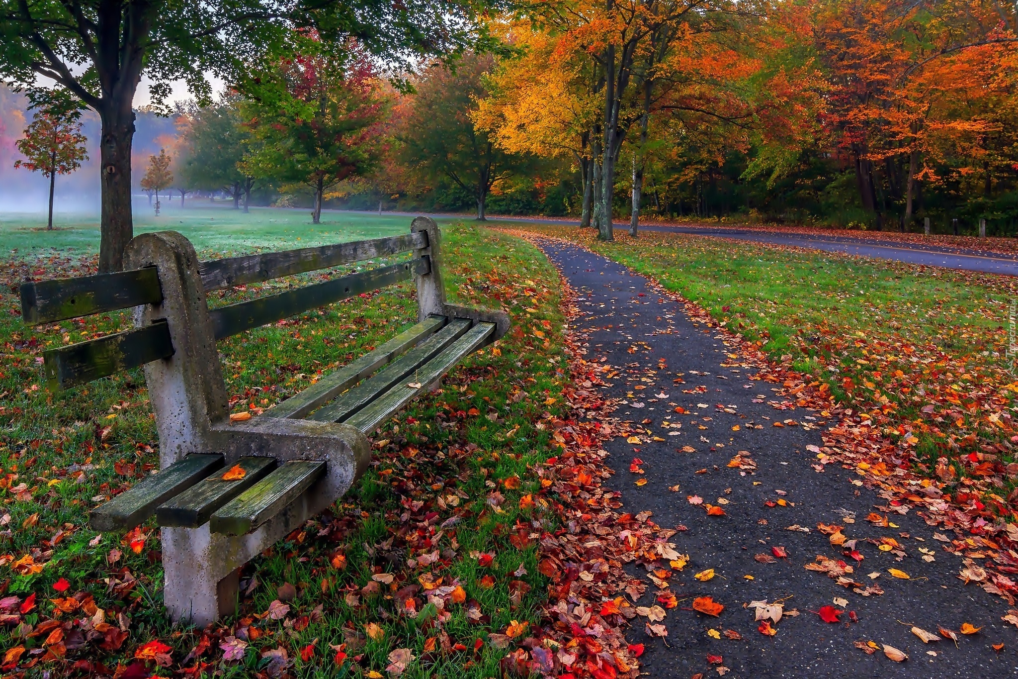 Jesień, Park, Ławka