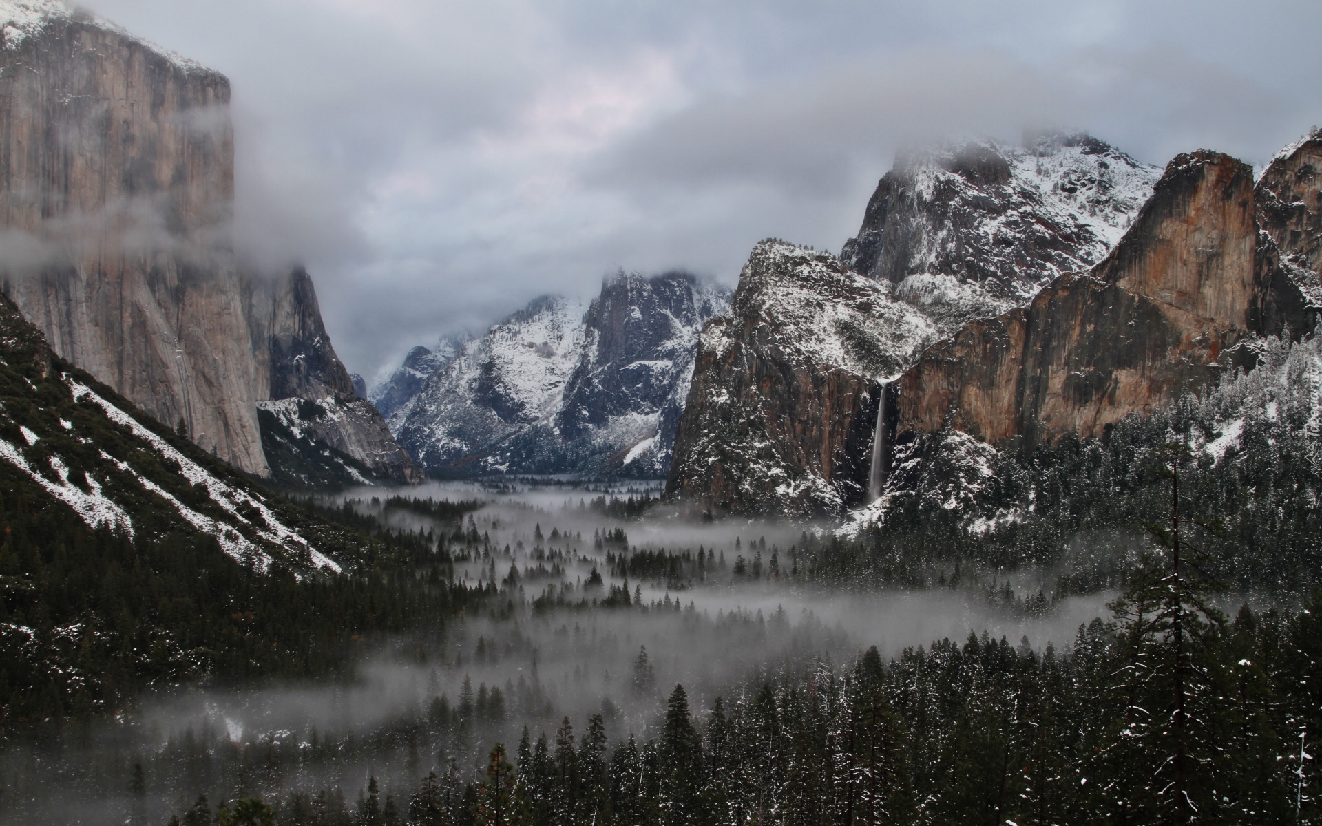 Stany Zjednoczone, Stan Kalifornia, Park Narodowy Yosemite, Góry, Lasy, Chmury, Mgła