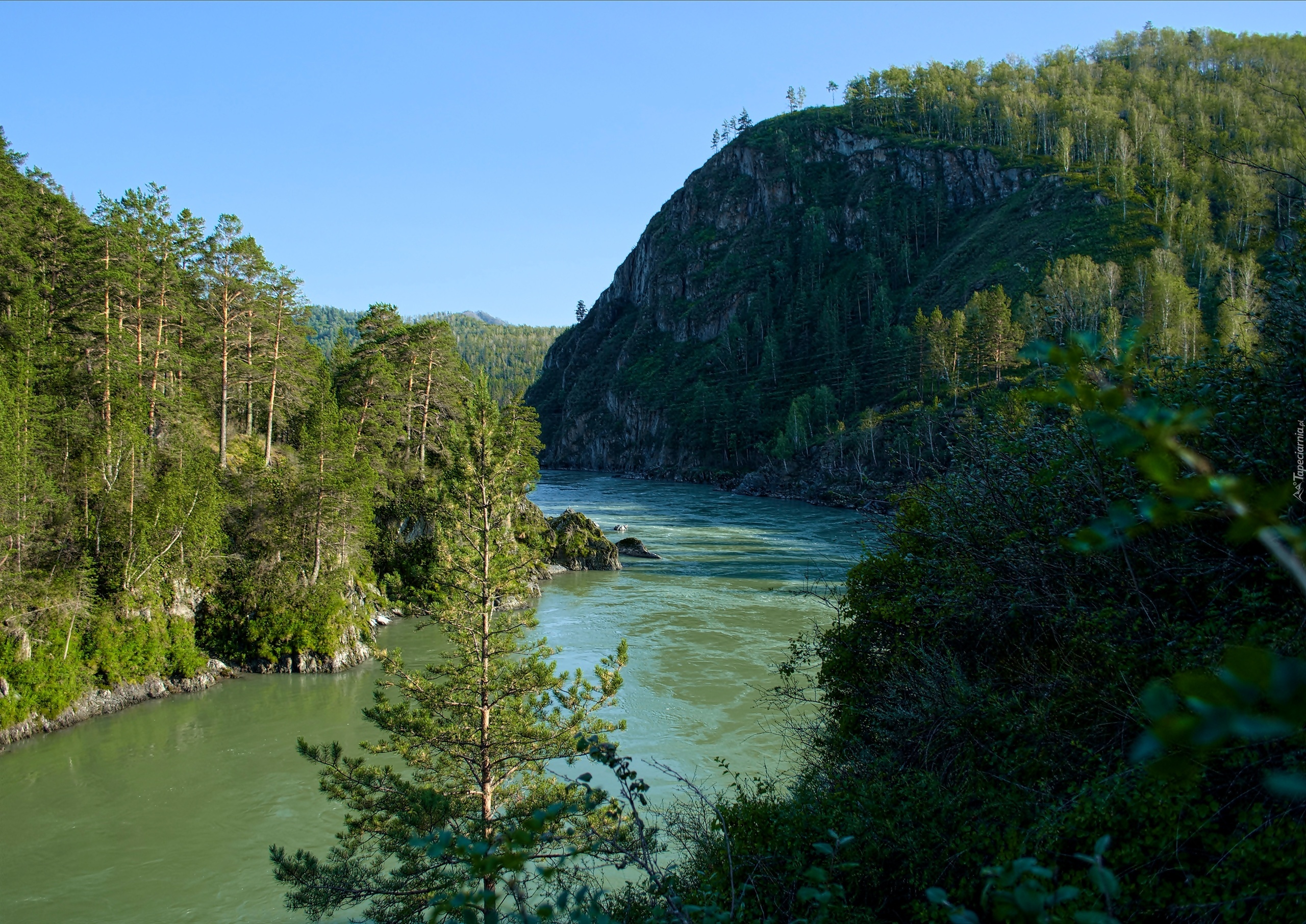 Rzeka, Góry, Las