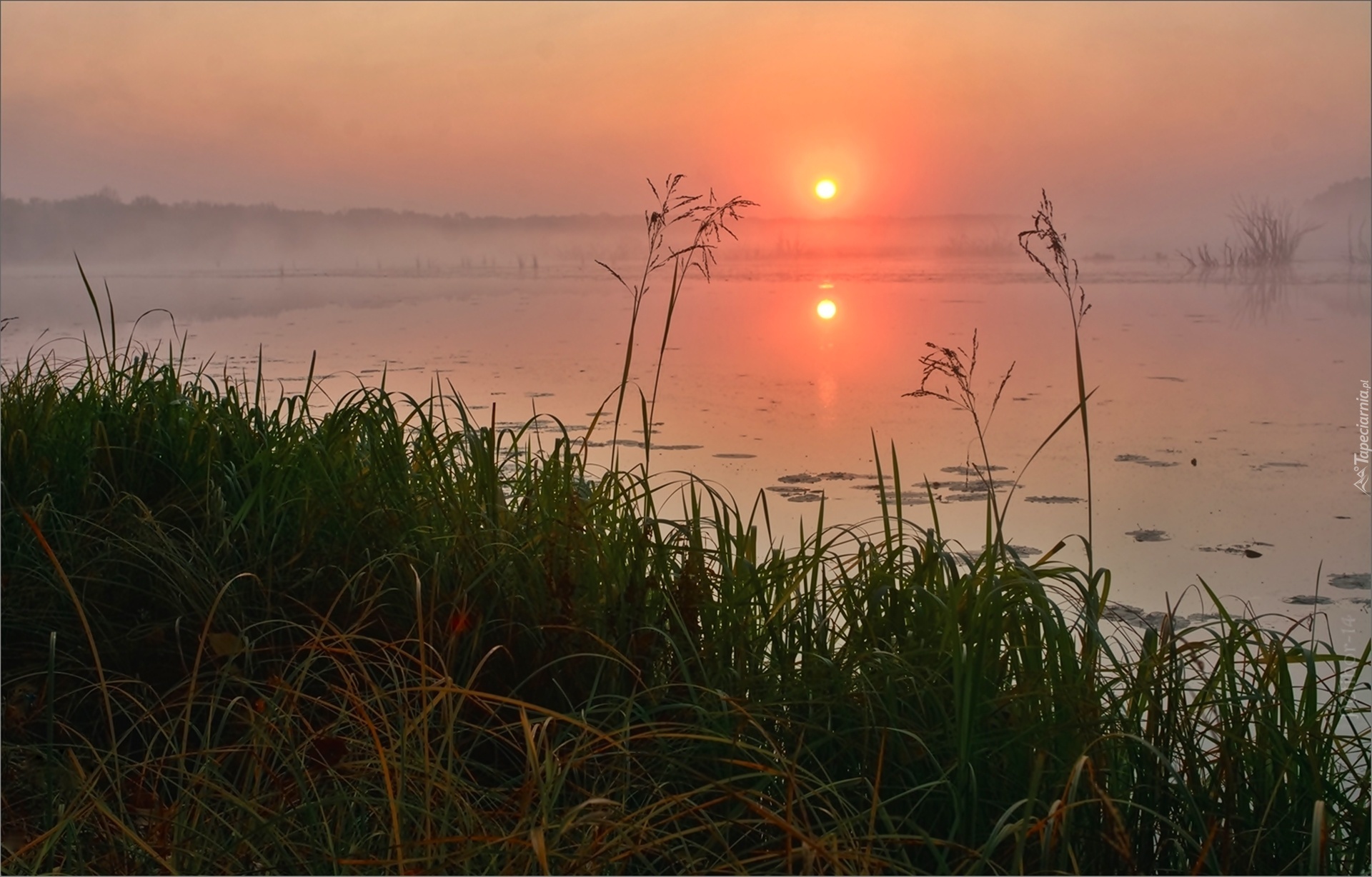 Jezioro, Zachód, Słońca, Mgła, Trawa