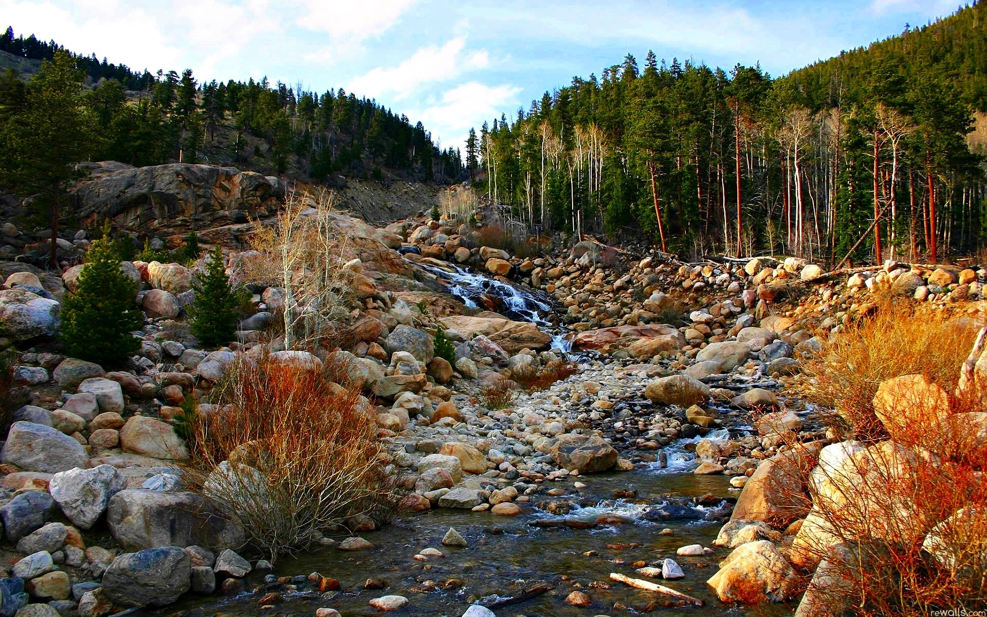 Las, Potok, Kamienie