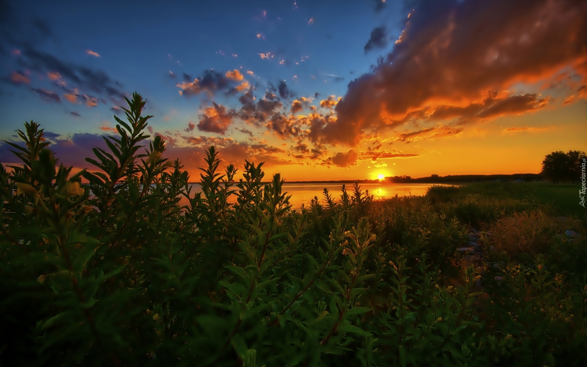 Jezioro Michigan, Chmury, Zachód Słońca, USA