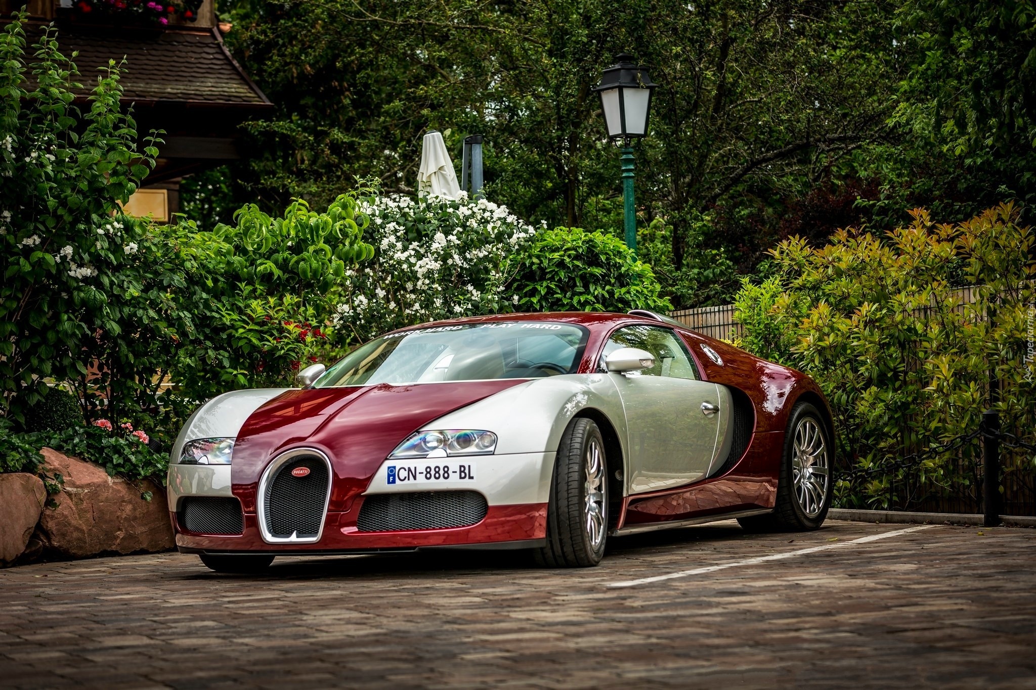 Bugatti Veyron, Auto, Posesja, Dom