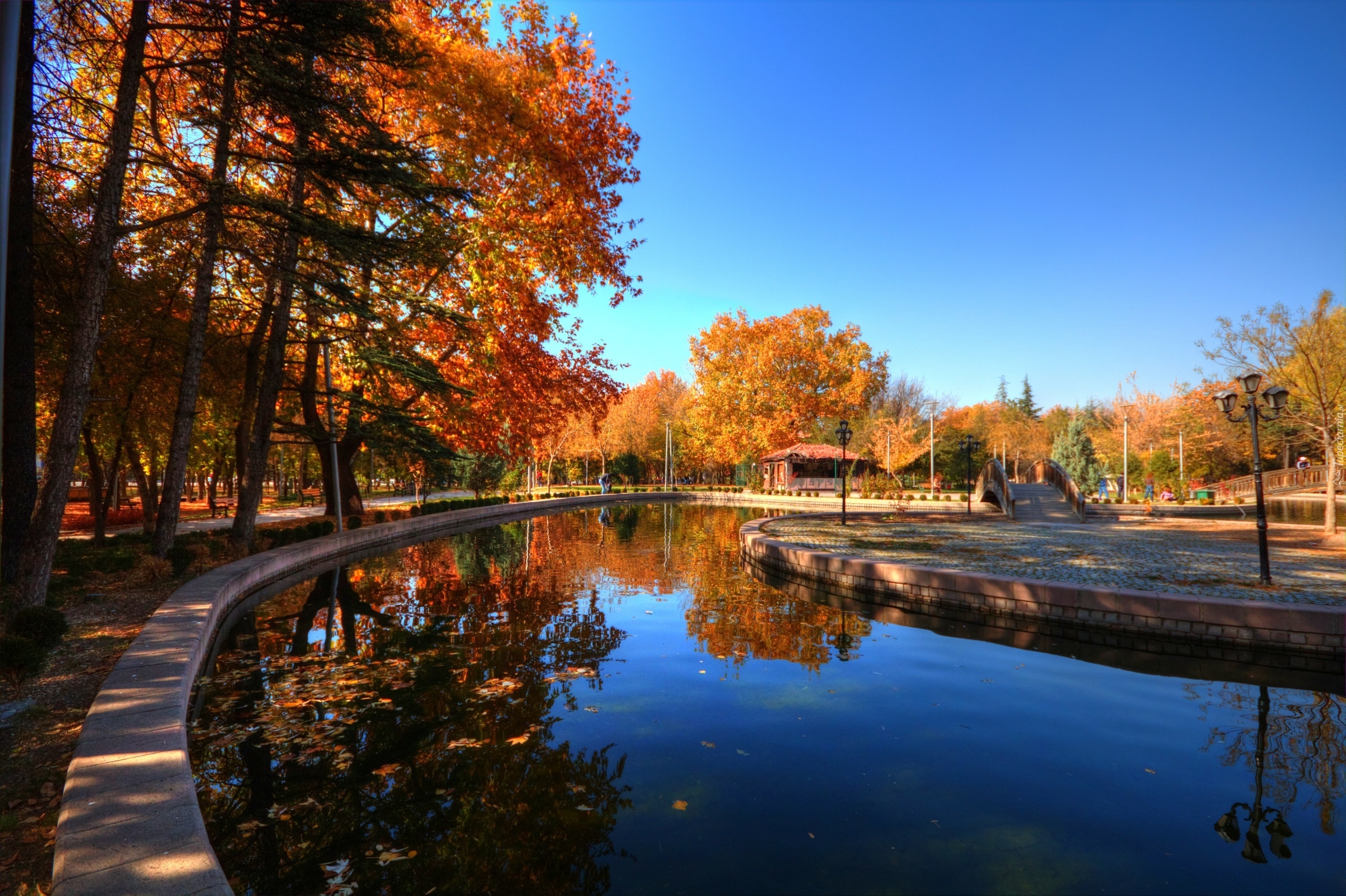 Park, Jesień, Drzewa