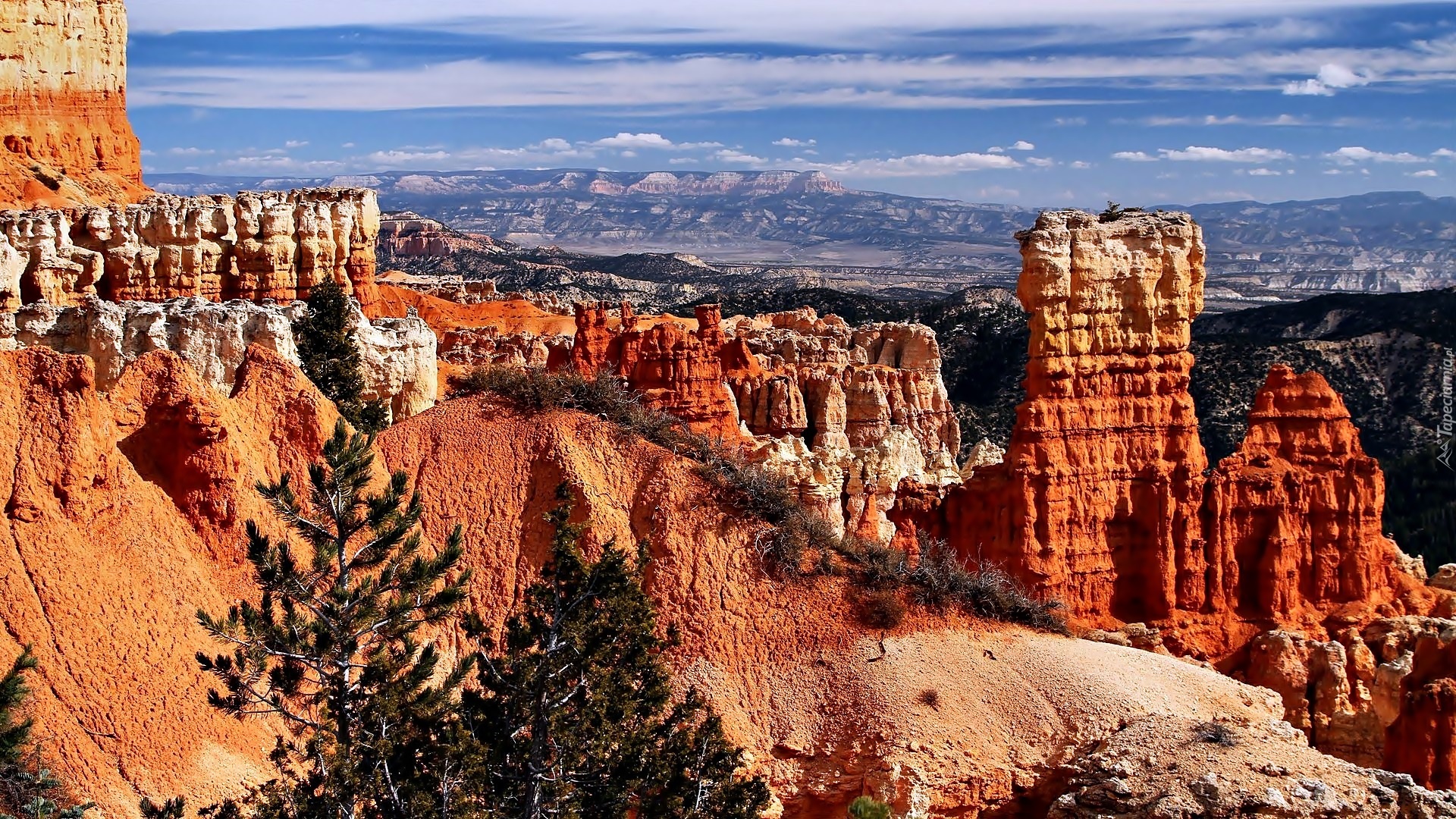 Stany Zjednoczone, Stan Utah,  Park Narodowy Bryce Canyon, Kanion