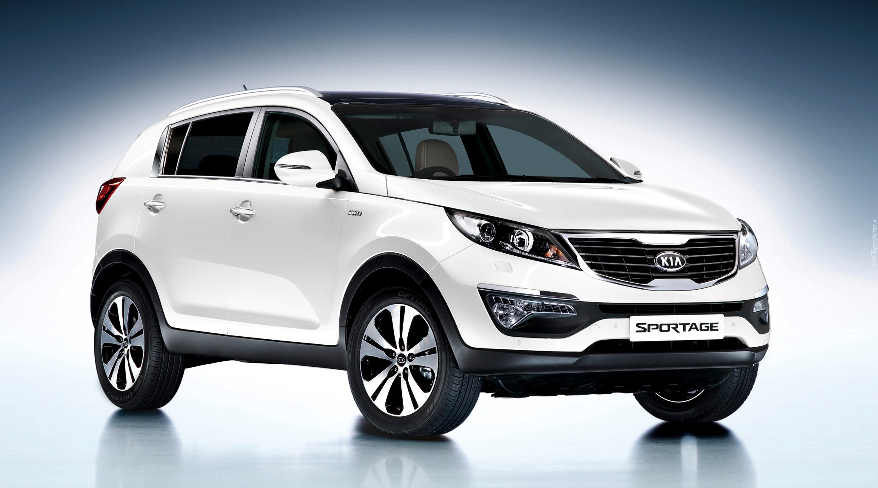Sportage, Kia, Biała