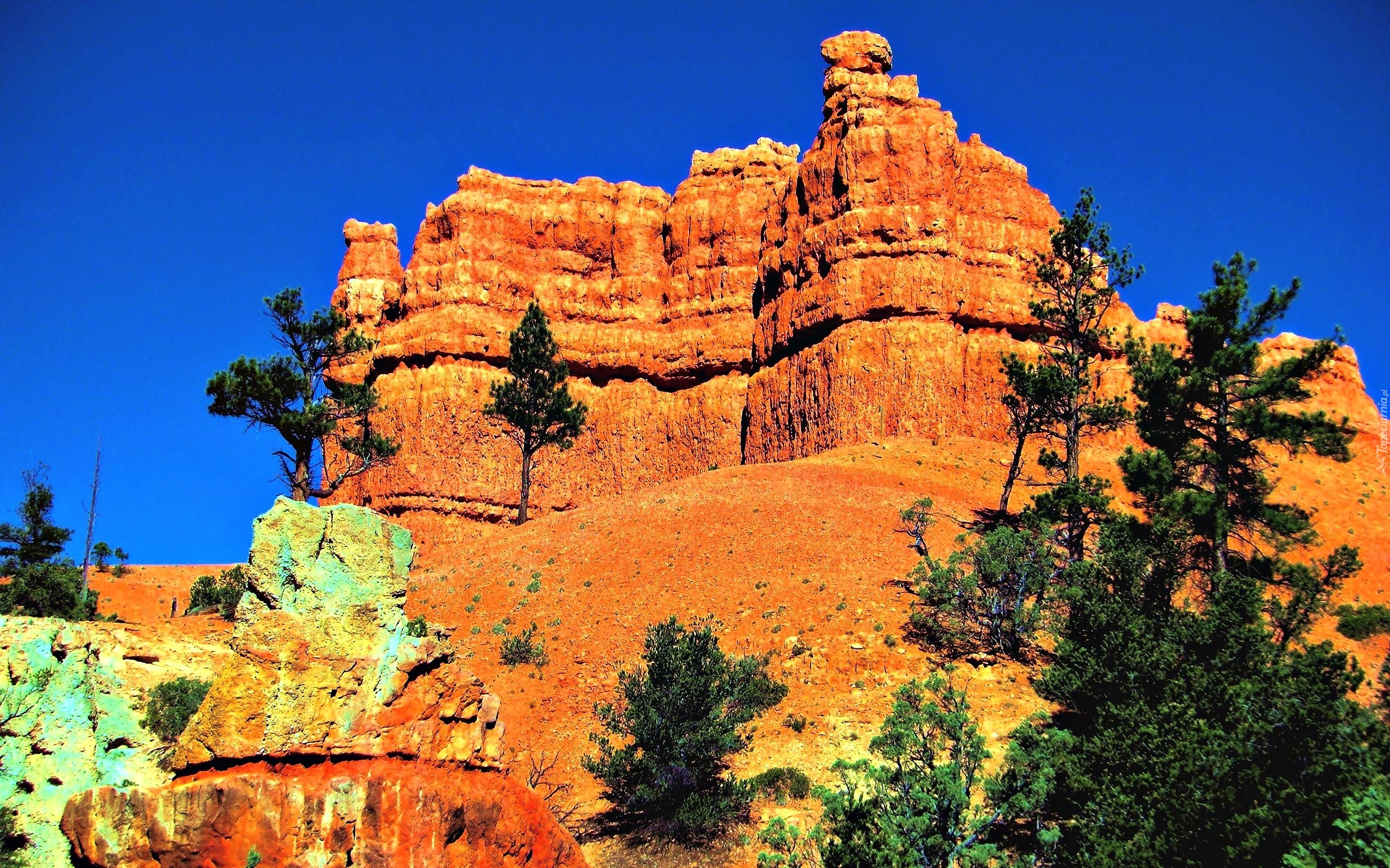 Stany Zjednoczone, Stan Utah, Park Narodowy Bryce Canyon, Skały